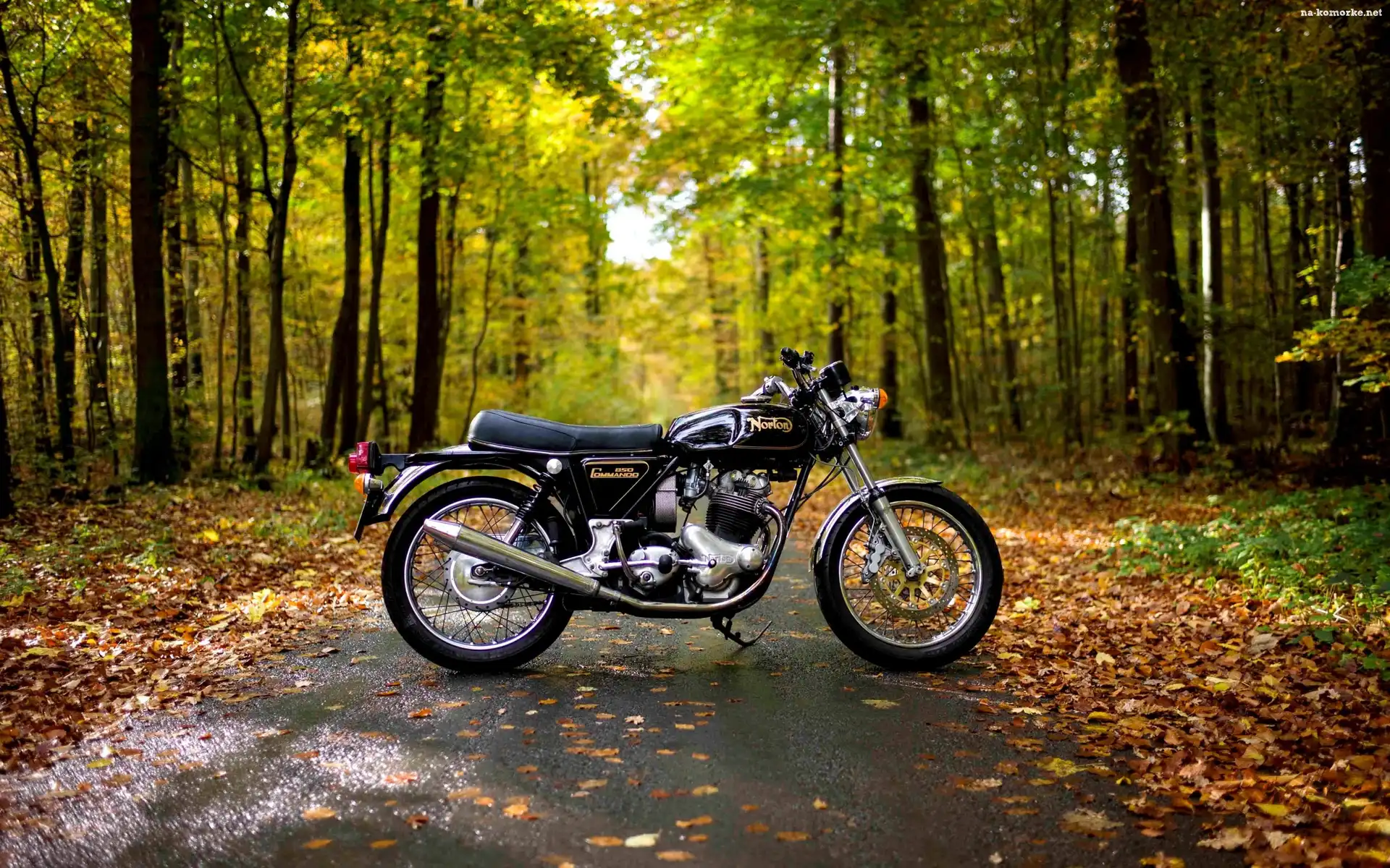 Jesień, Motocykl, Las, Droga, Liście