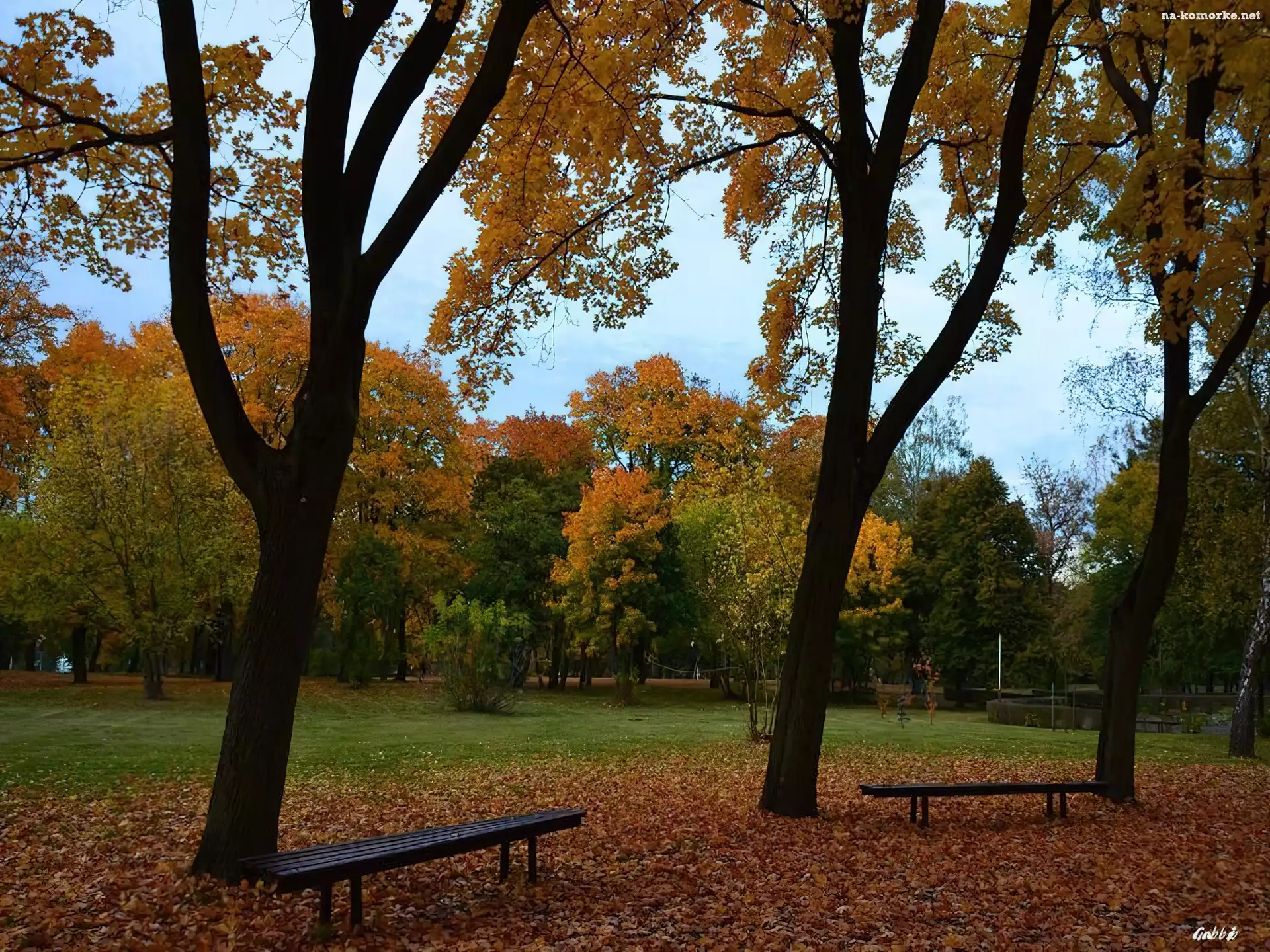 Jesień, Liście, Drzewa, Ławeczki