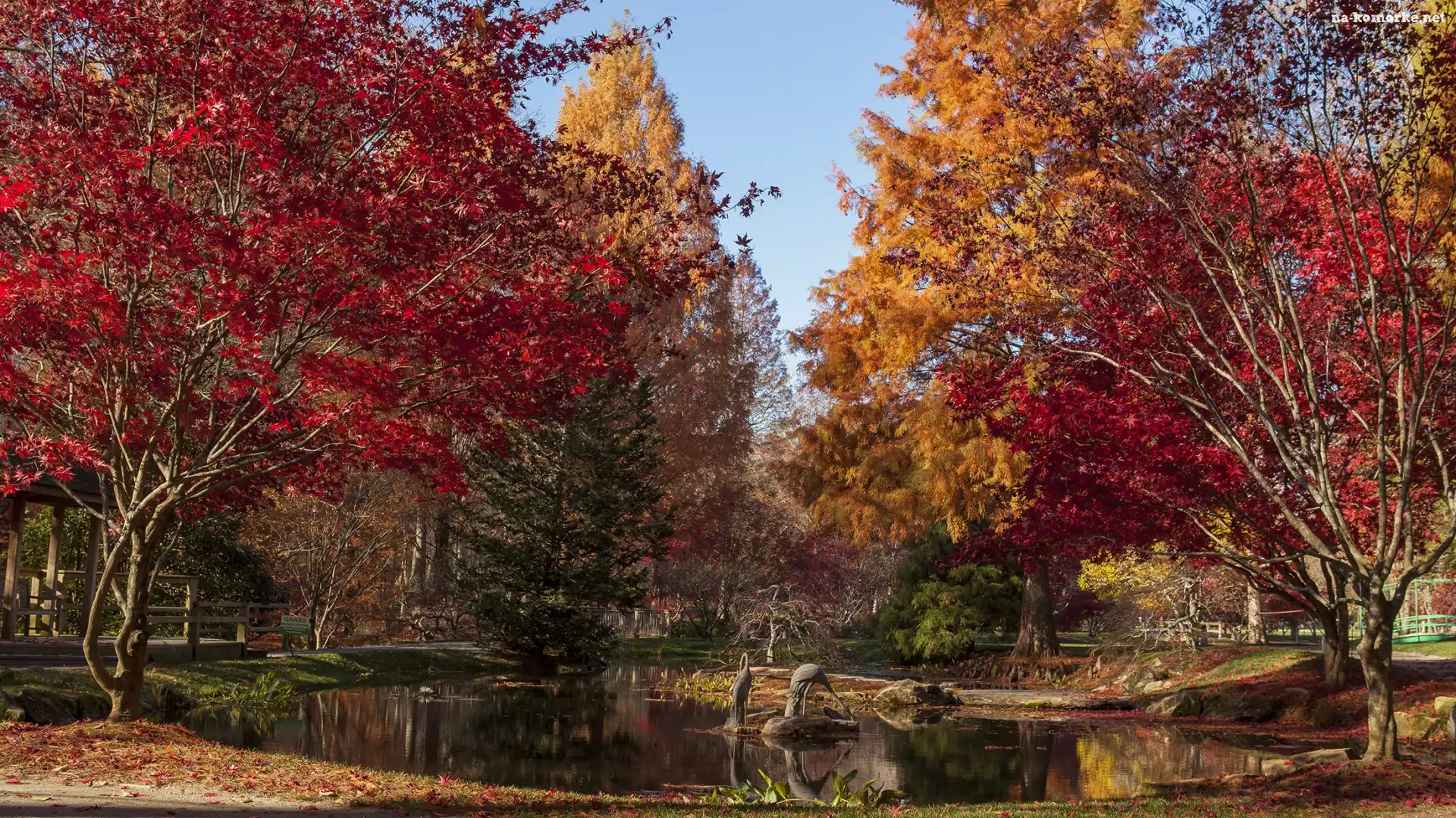 Jesień, Park, Drzewa, Staw