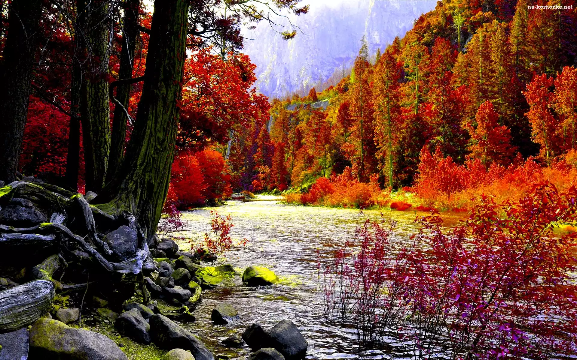 Jesień, Potok, Góry, Las