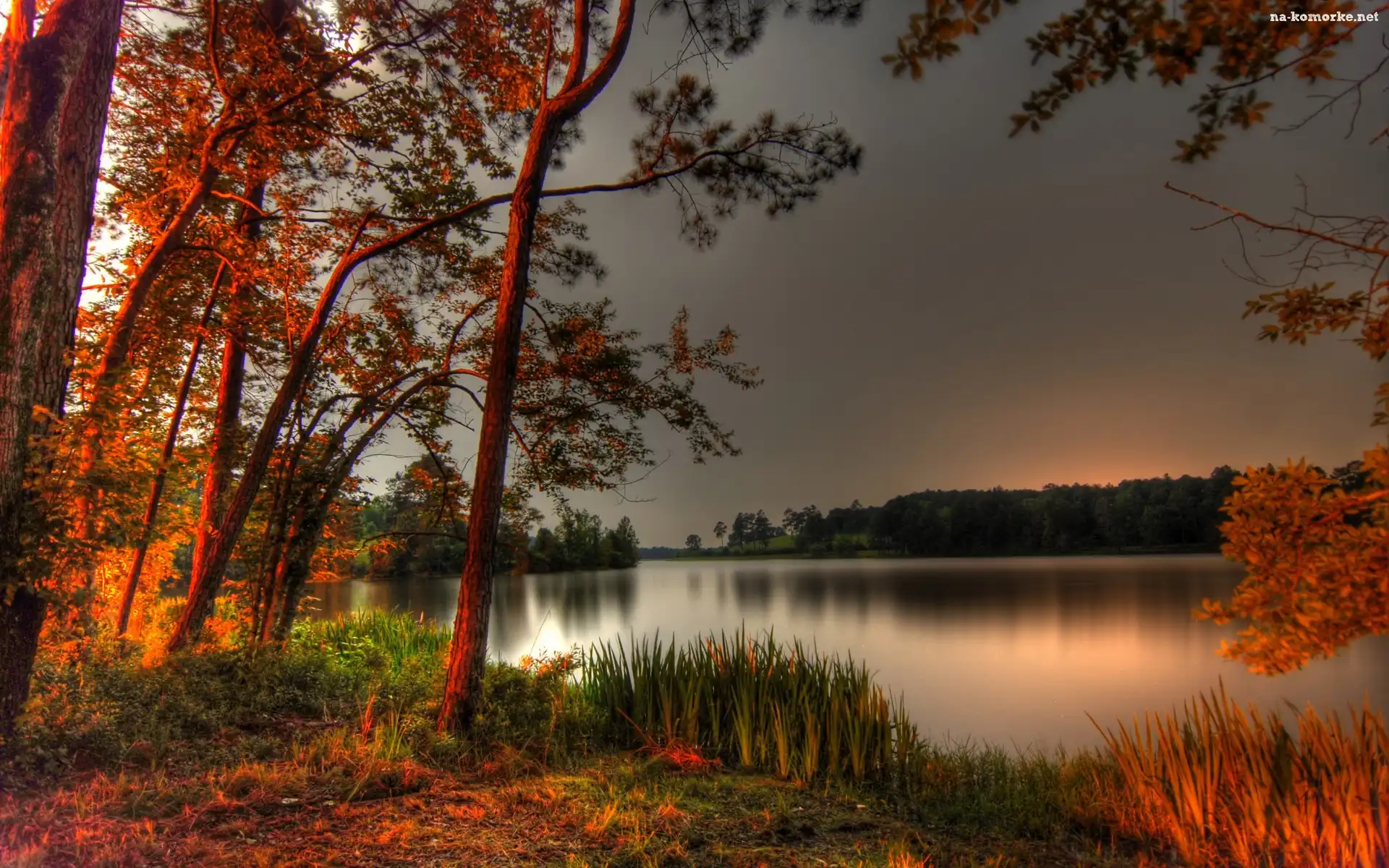Jezioro, Jesień, Drzewa