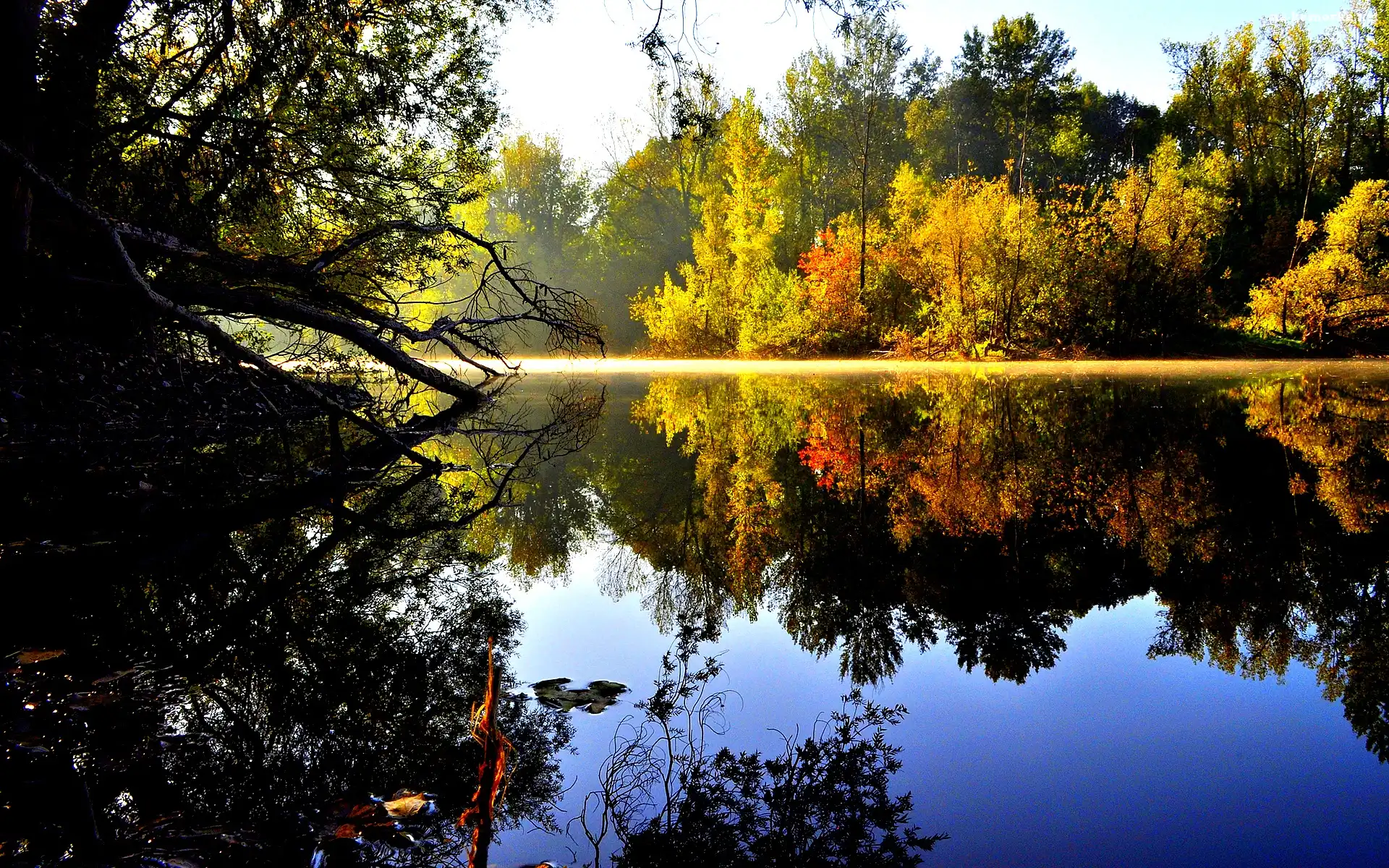 Jesień, Odbicie, Jezioro, Las