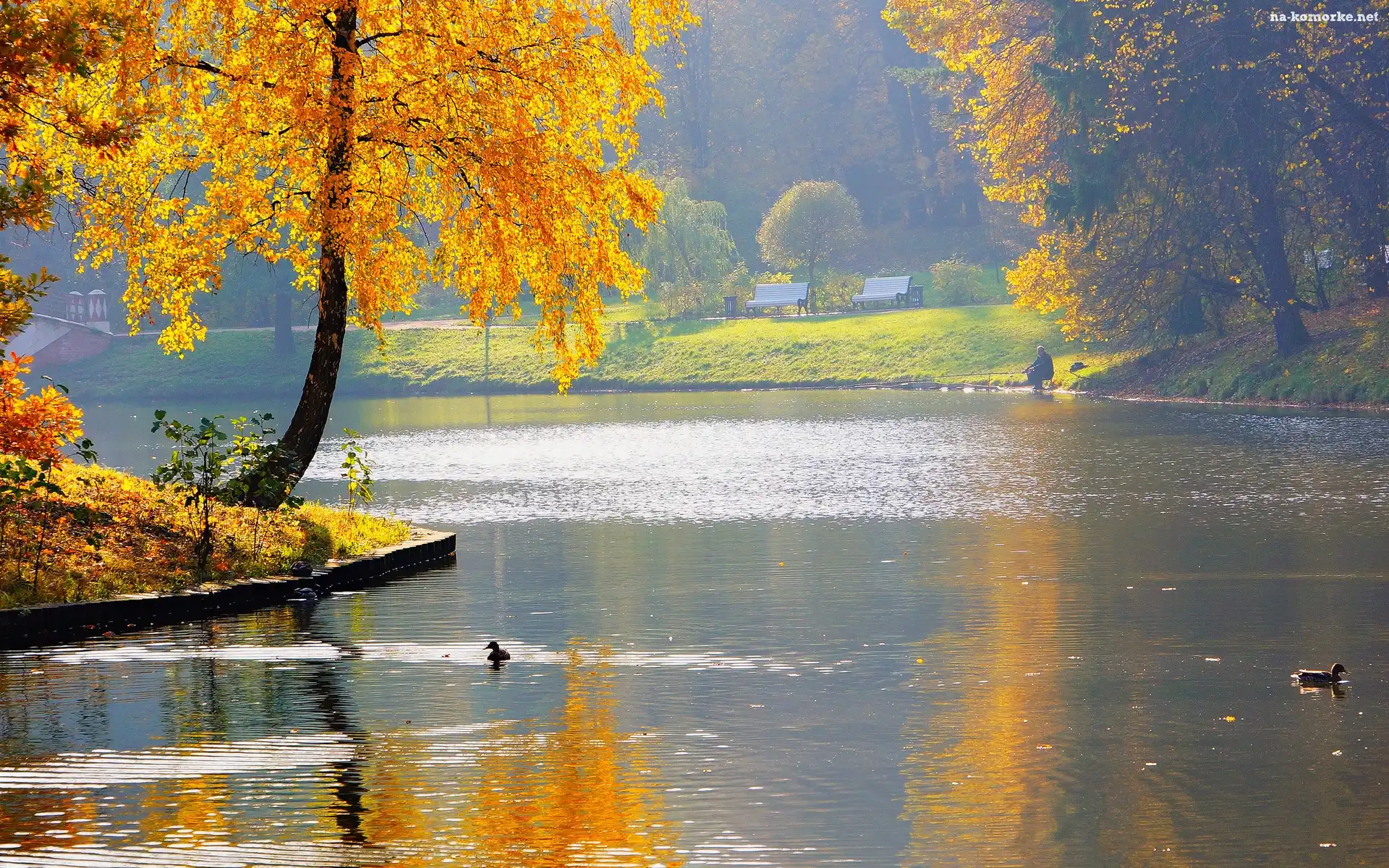 Jesień, Park, Woda, Kaczki, Drzewa