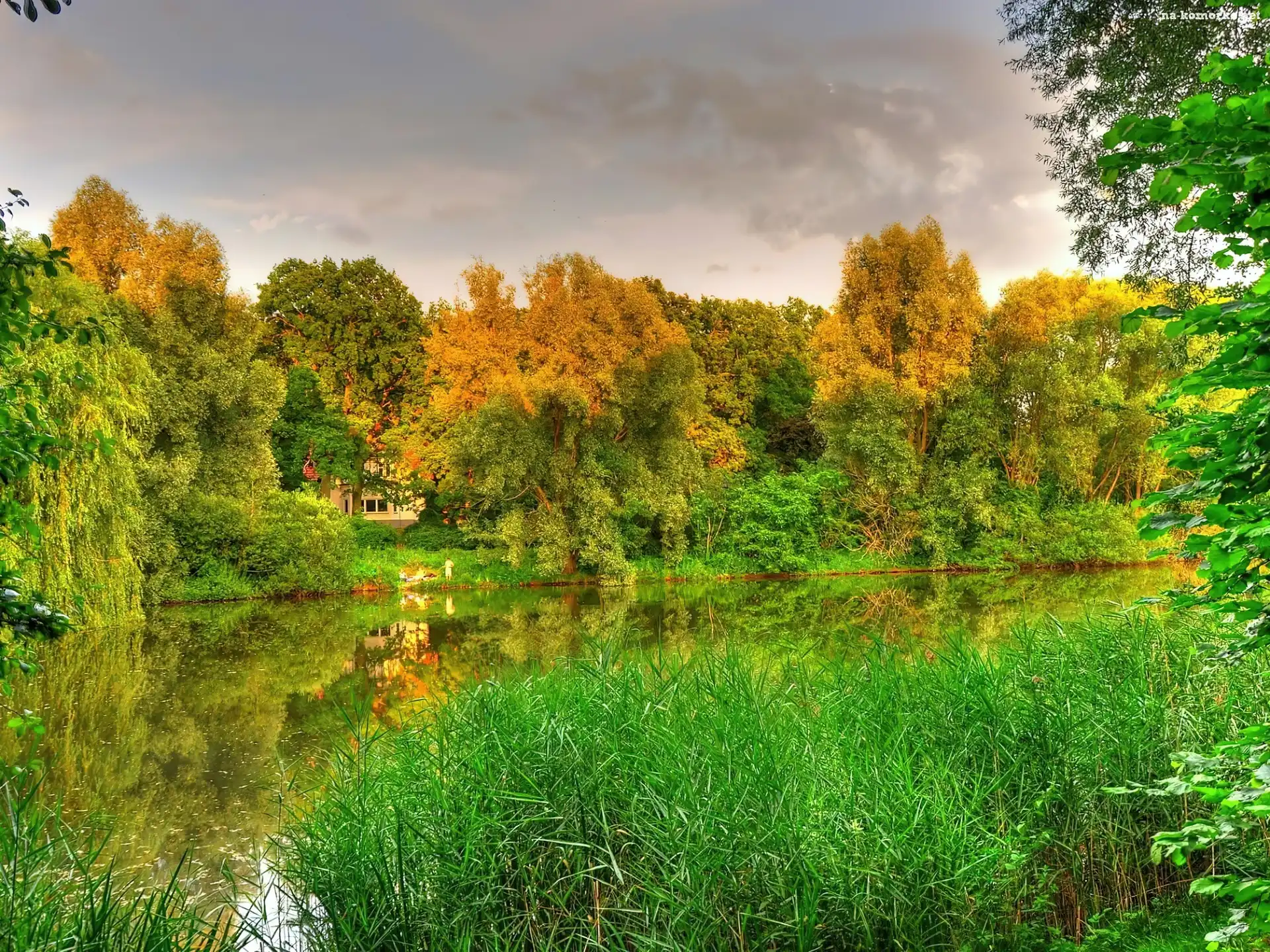 Jesień, Trawy, Las, Jezioro