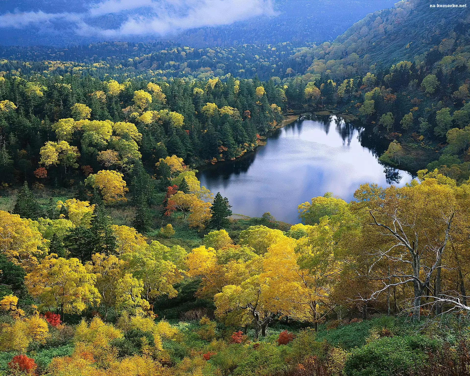 Jesień, Wisconsin, Lasy, Jezioro