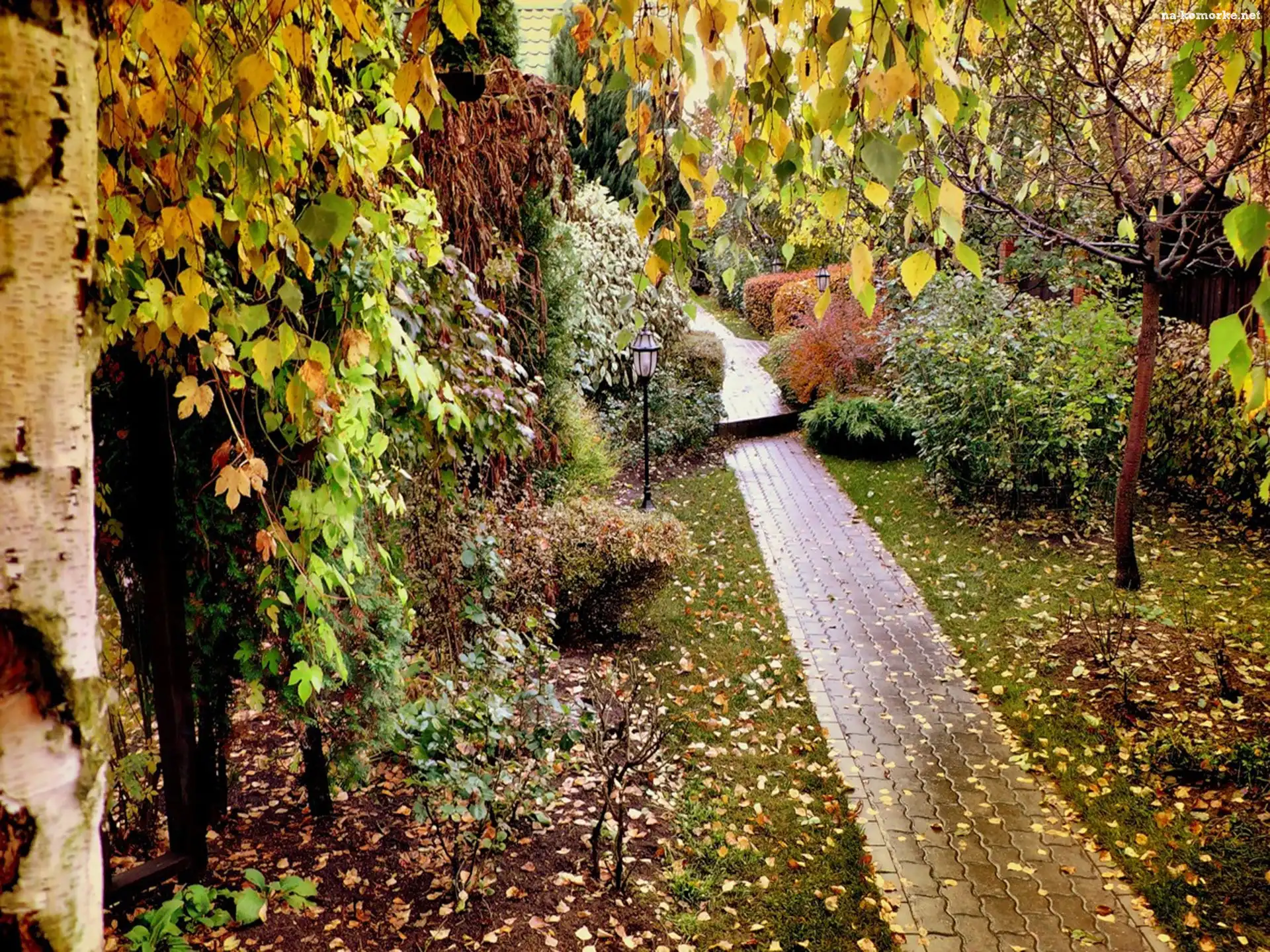 Jesień, Park, Dróżka, Liście, Drzewa