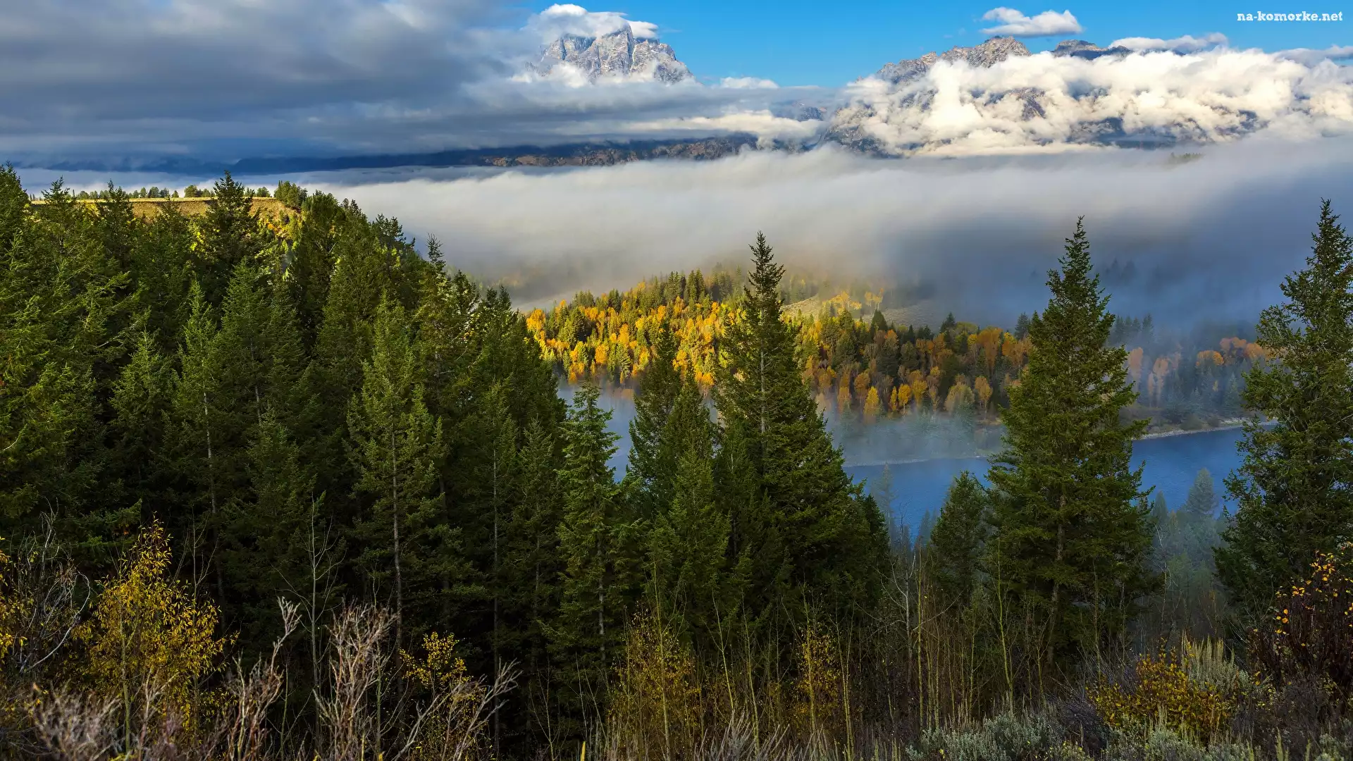 Jesień, Drzewa, Stany Zjednoczone, Góry, Stan Wyoming, Park Narodowy Grand Teton, Las, Świerki, Mgła, Krajobraz