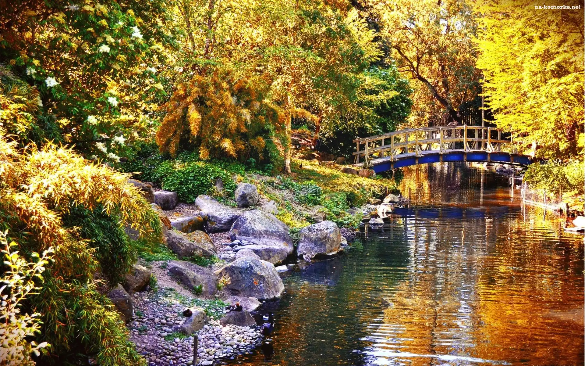 Jesień, Park, Rzeczka, Mostek, Kamienie