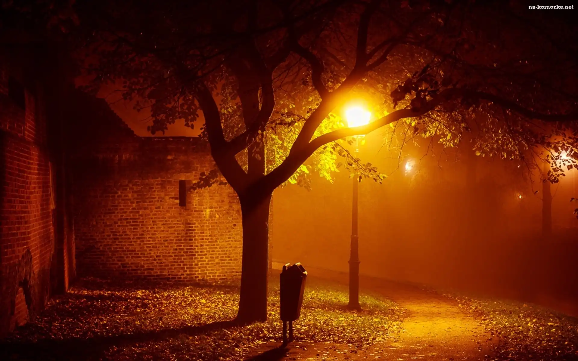 Ścieżka, Noc, Park, Jesień, Latarnie