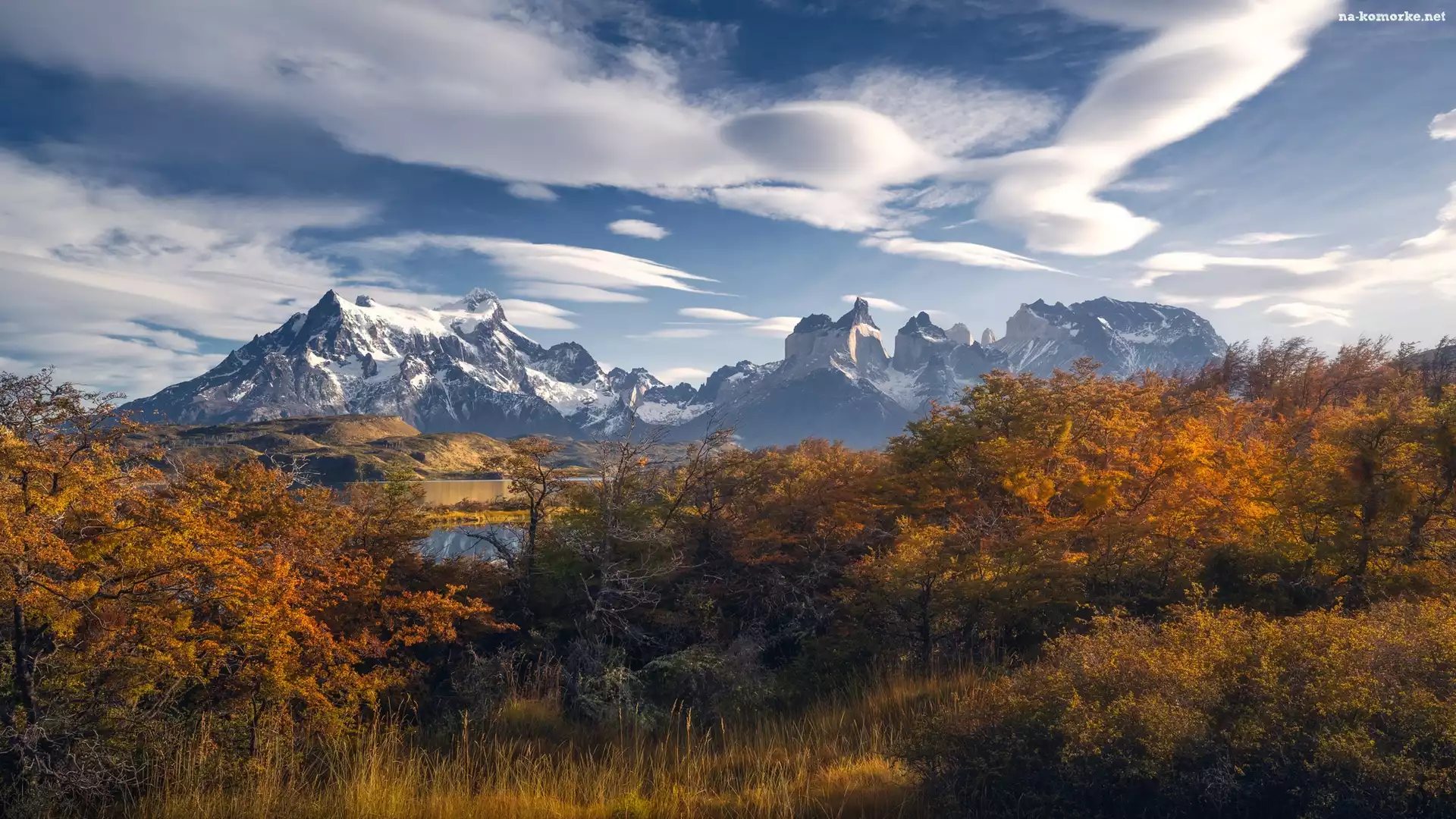 Jesień, Chile, Góry, Drzewa, Park Narodowy Torres del Paine, Patagonia