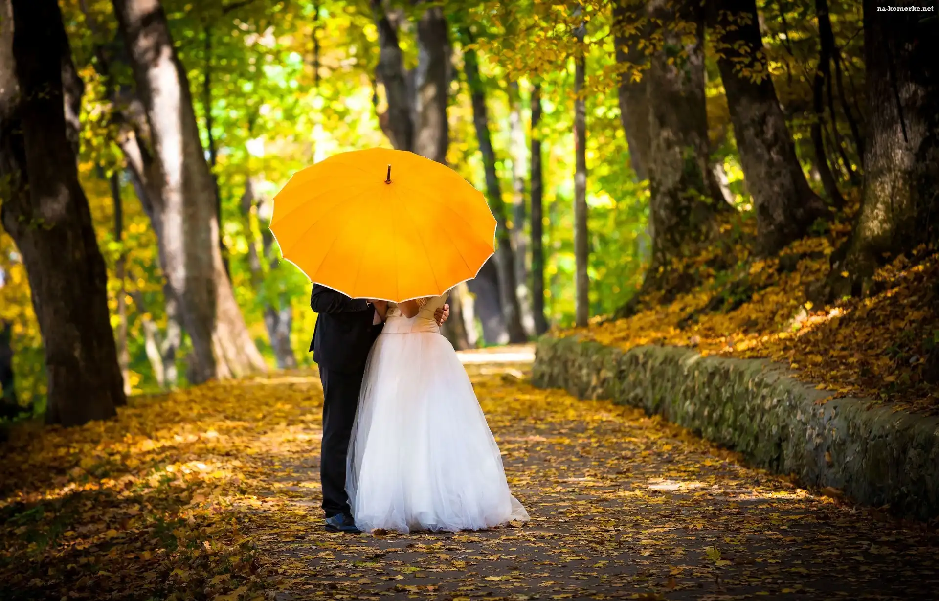 Młoda, Jesień, Para, Parasol