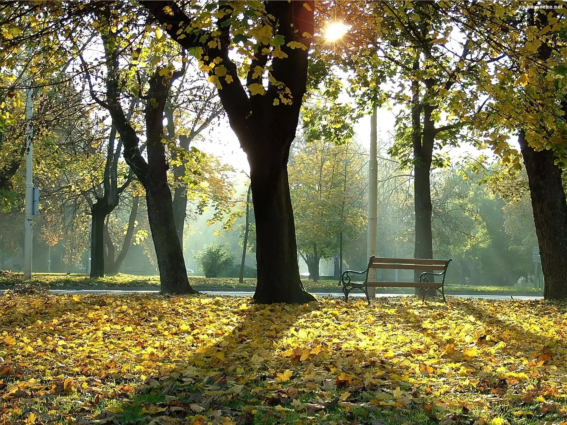 Park, Jesień, Ławeczka