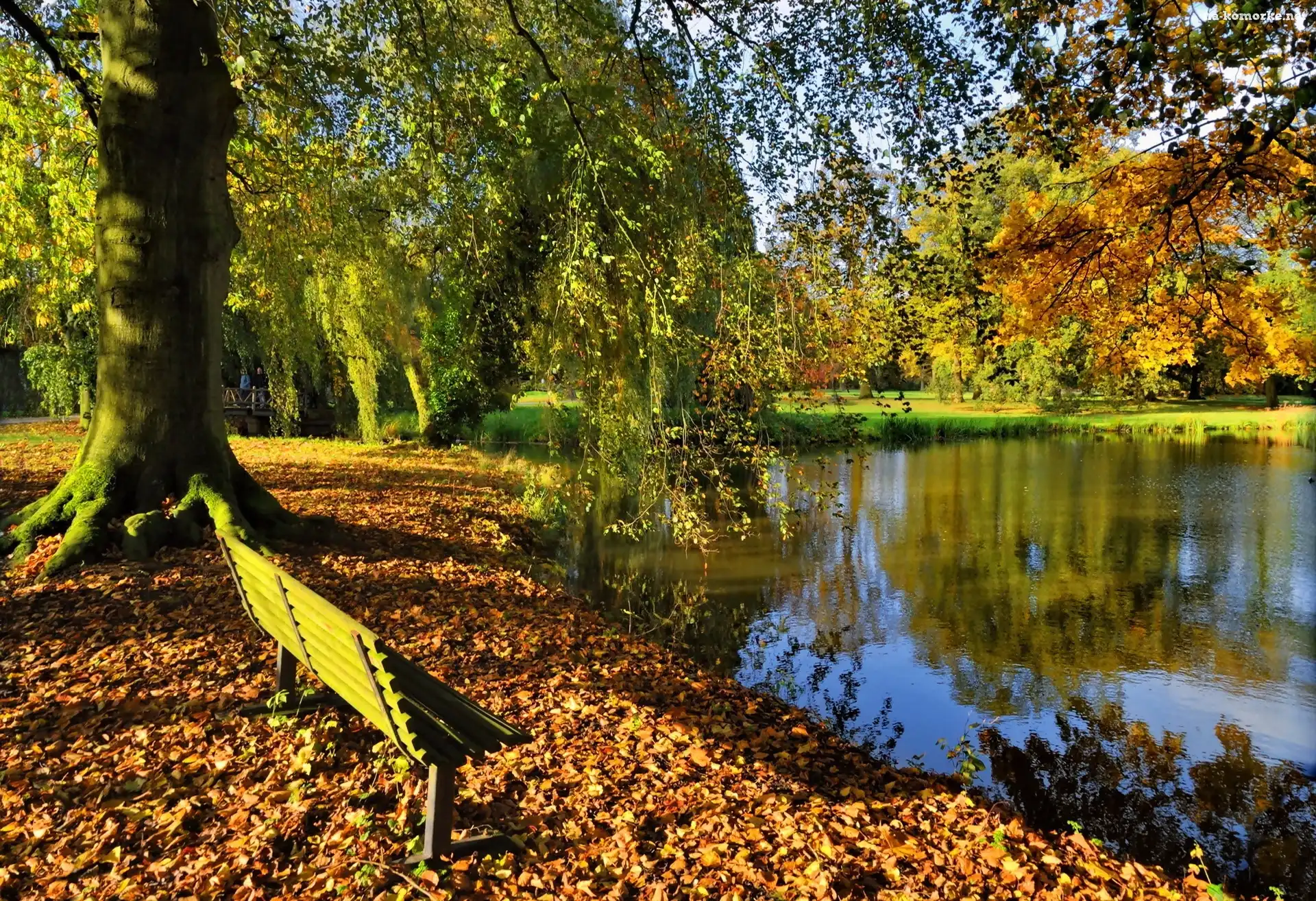Jesień, Ławka, Park, Staw