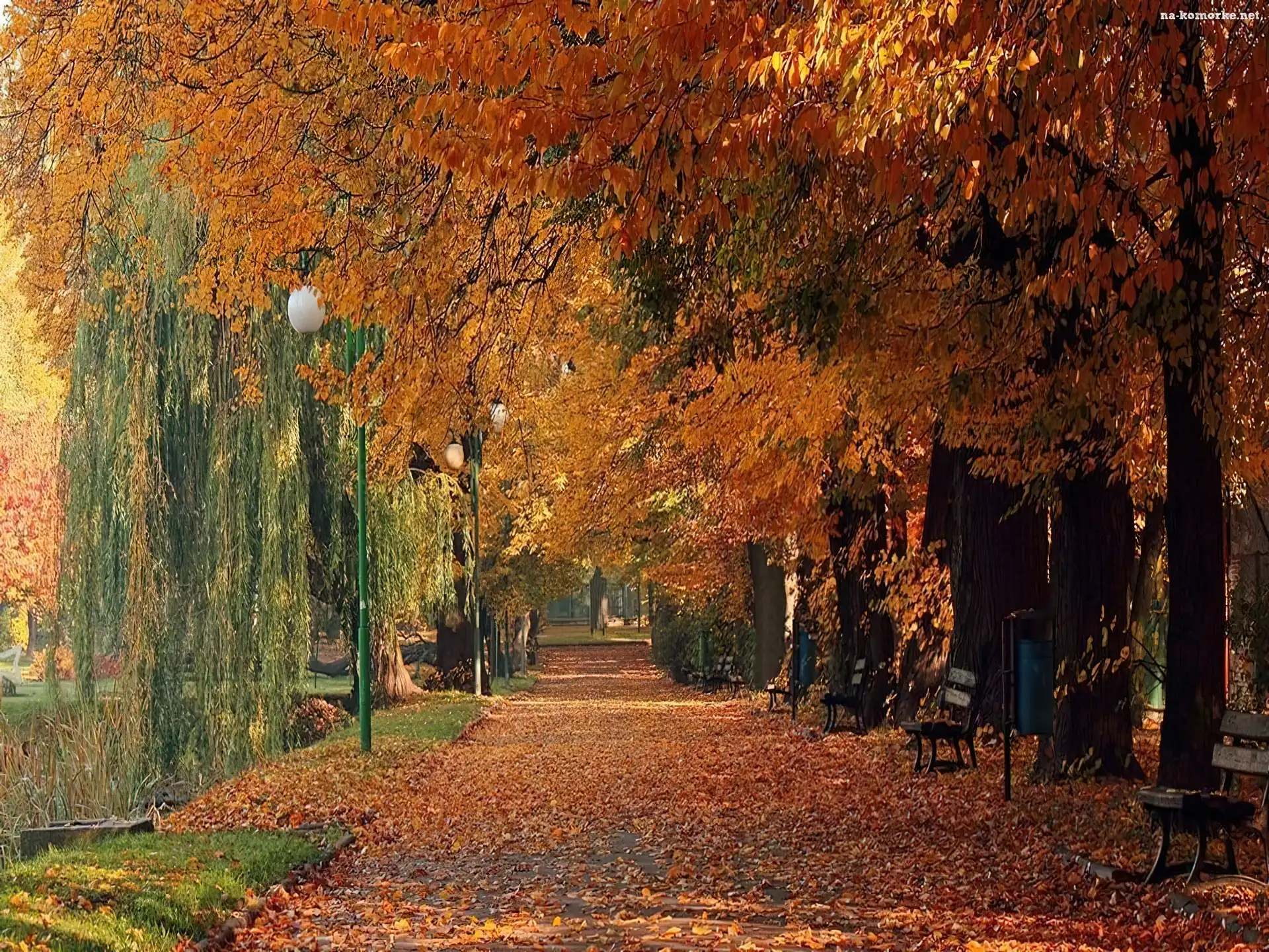 Jesień, Ławki, Park, Aleja