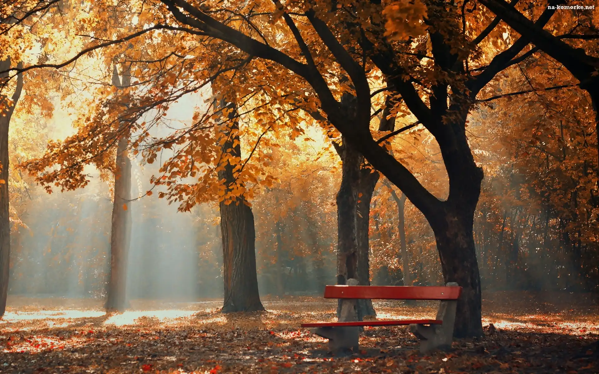 Jesień, Mgła, Park, Ławka