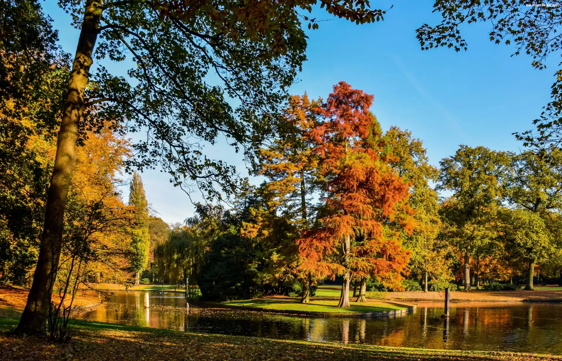 Park, Jesień, Staw