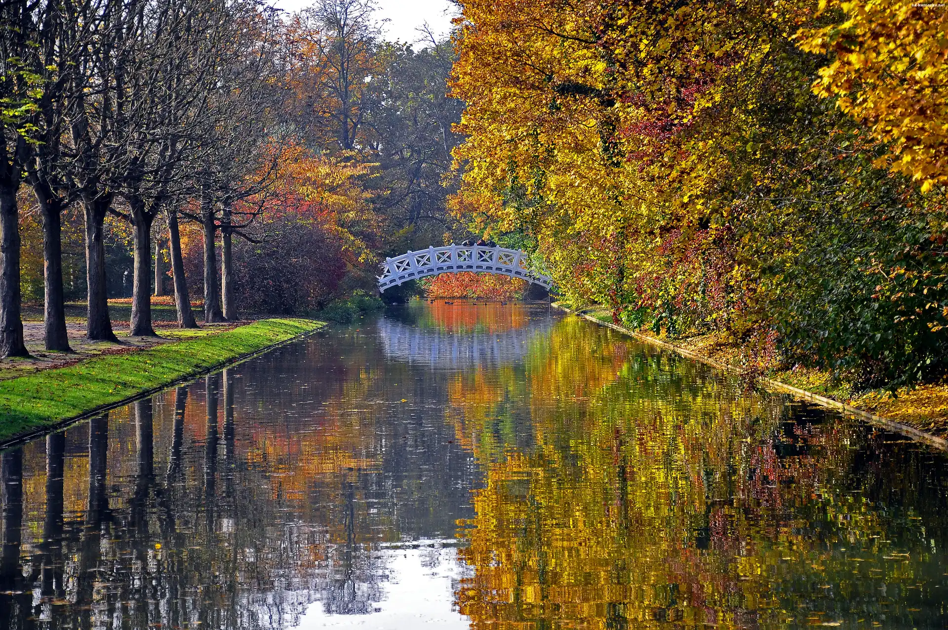 Jesień, Drzewa, Rzeka, Most