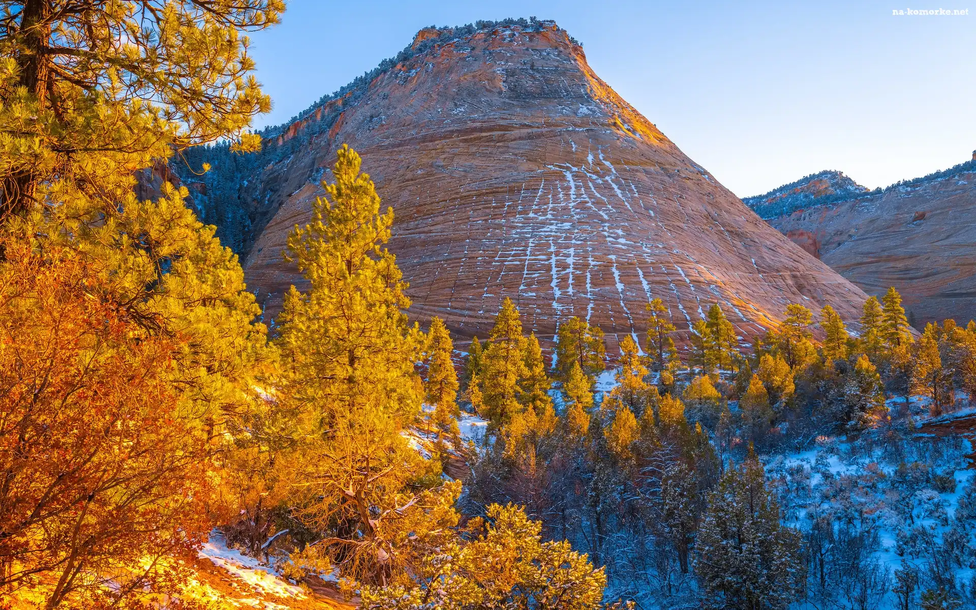 Stany Zjednoczone, Jesień, Drzewa, Utah, Park Narodowy Zion, Góra, Checkerboard Mesa