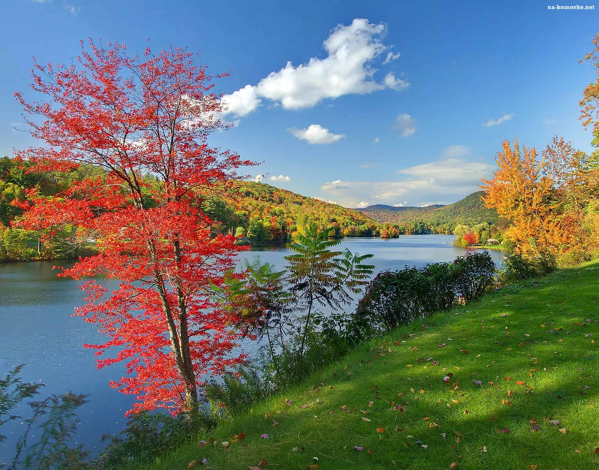 Jesień, Jezioro, Vermont, Lasy