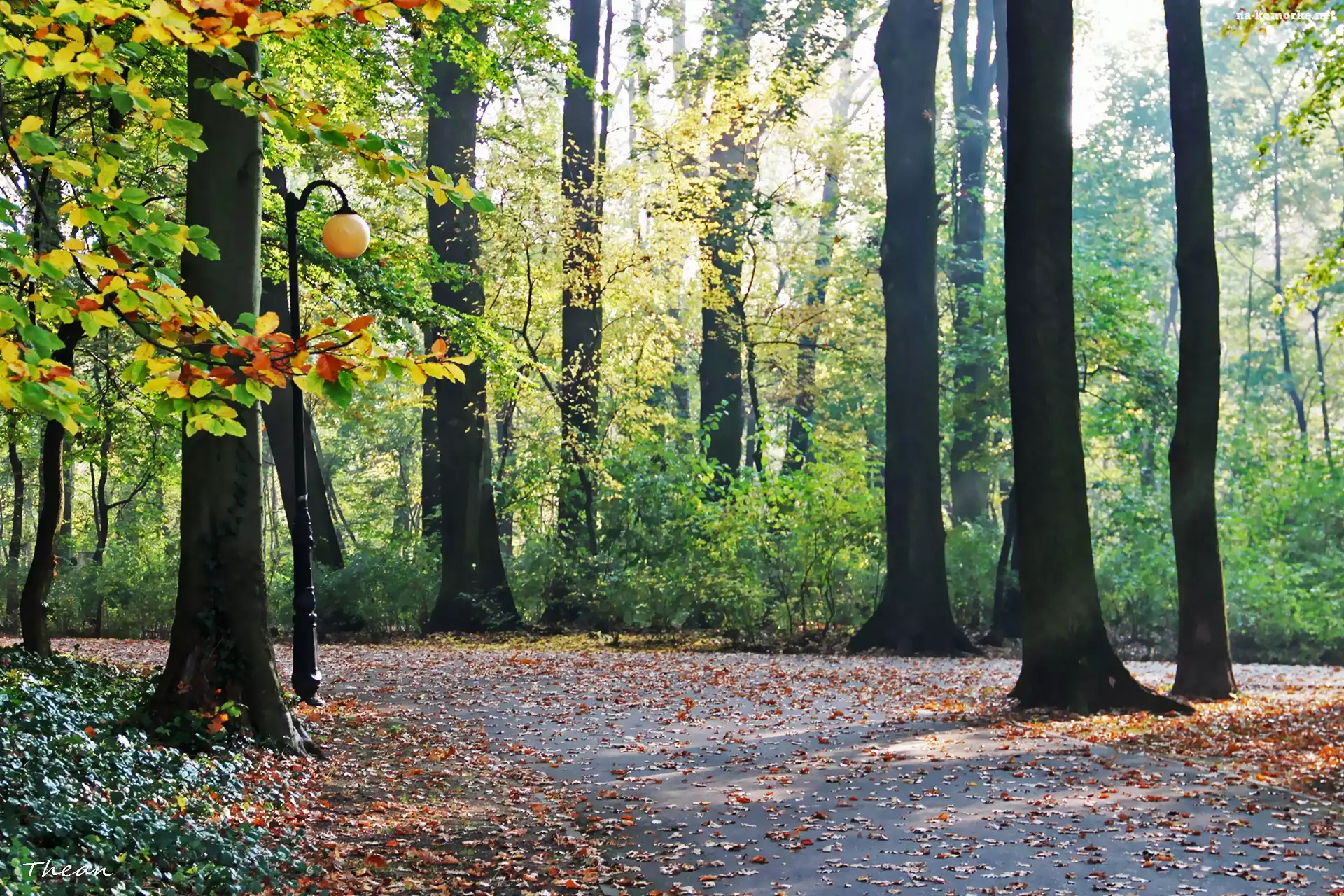 Jesienny, Park