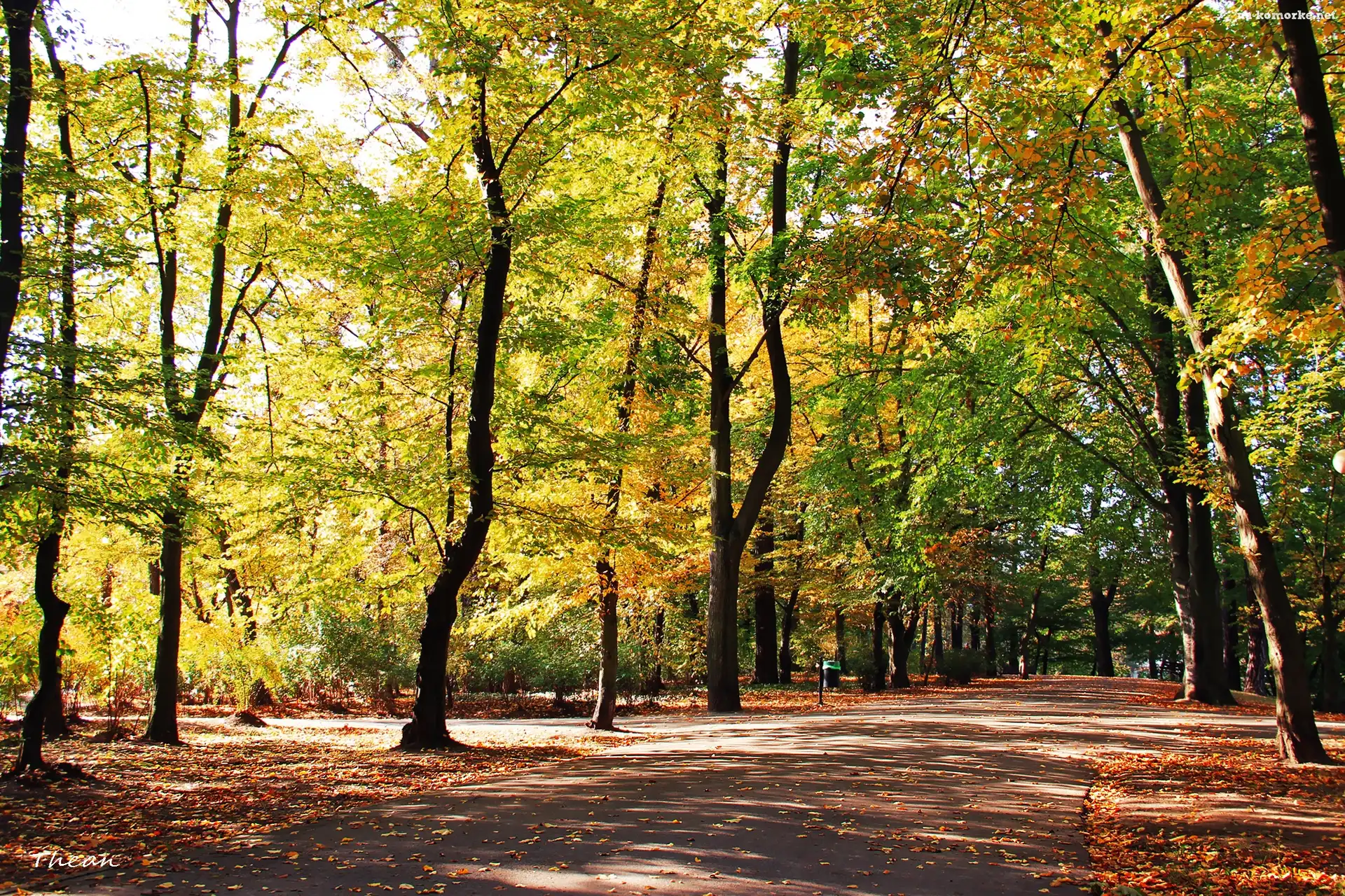 Jesienny, Park