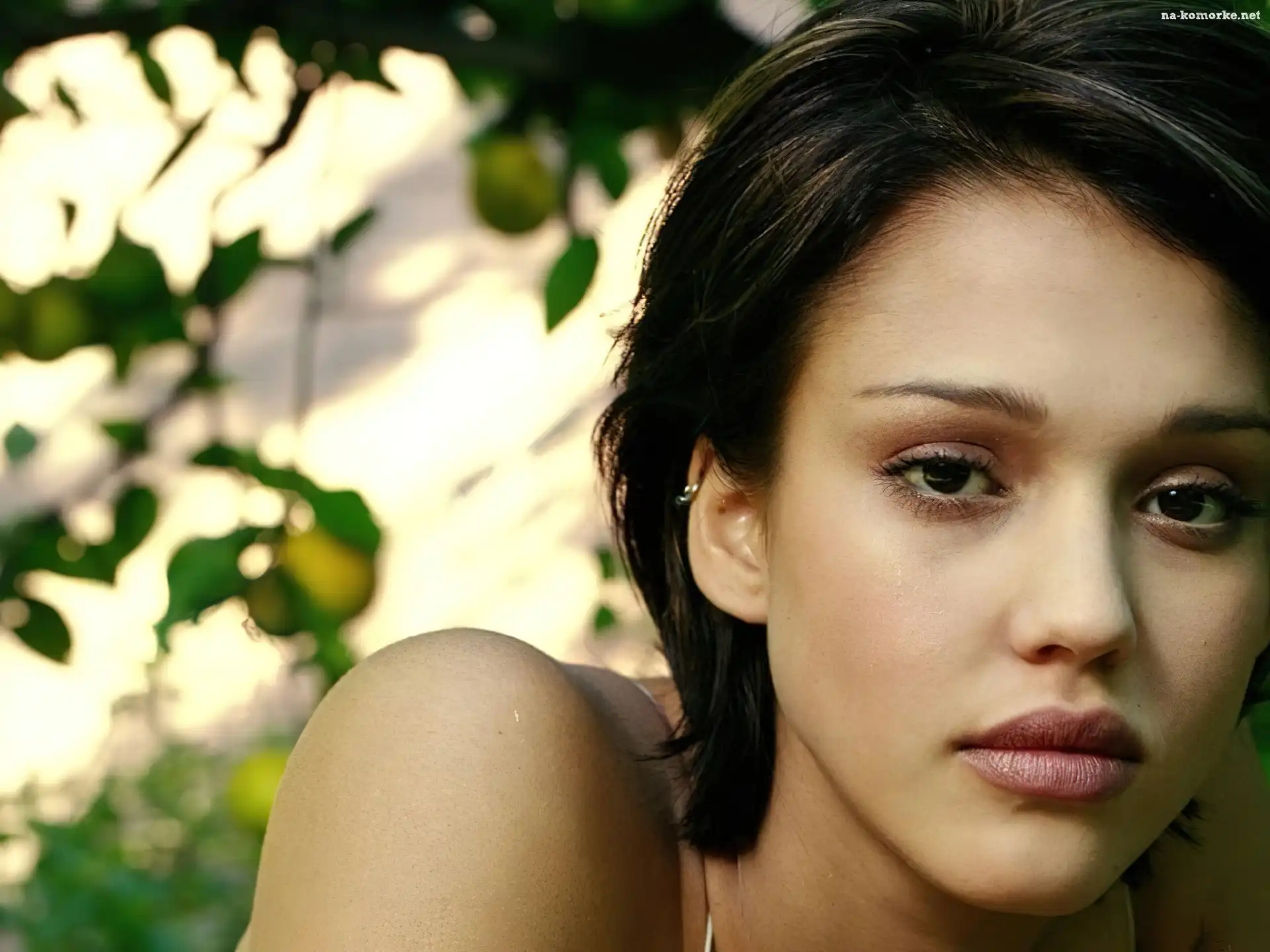 twarz, Jessica Alba