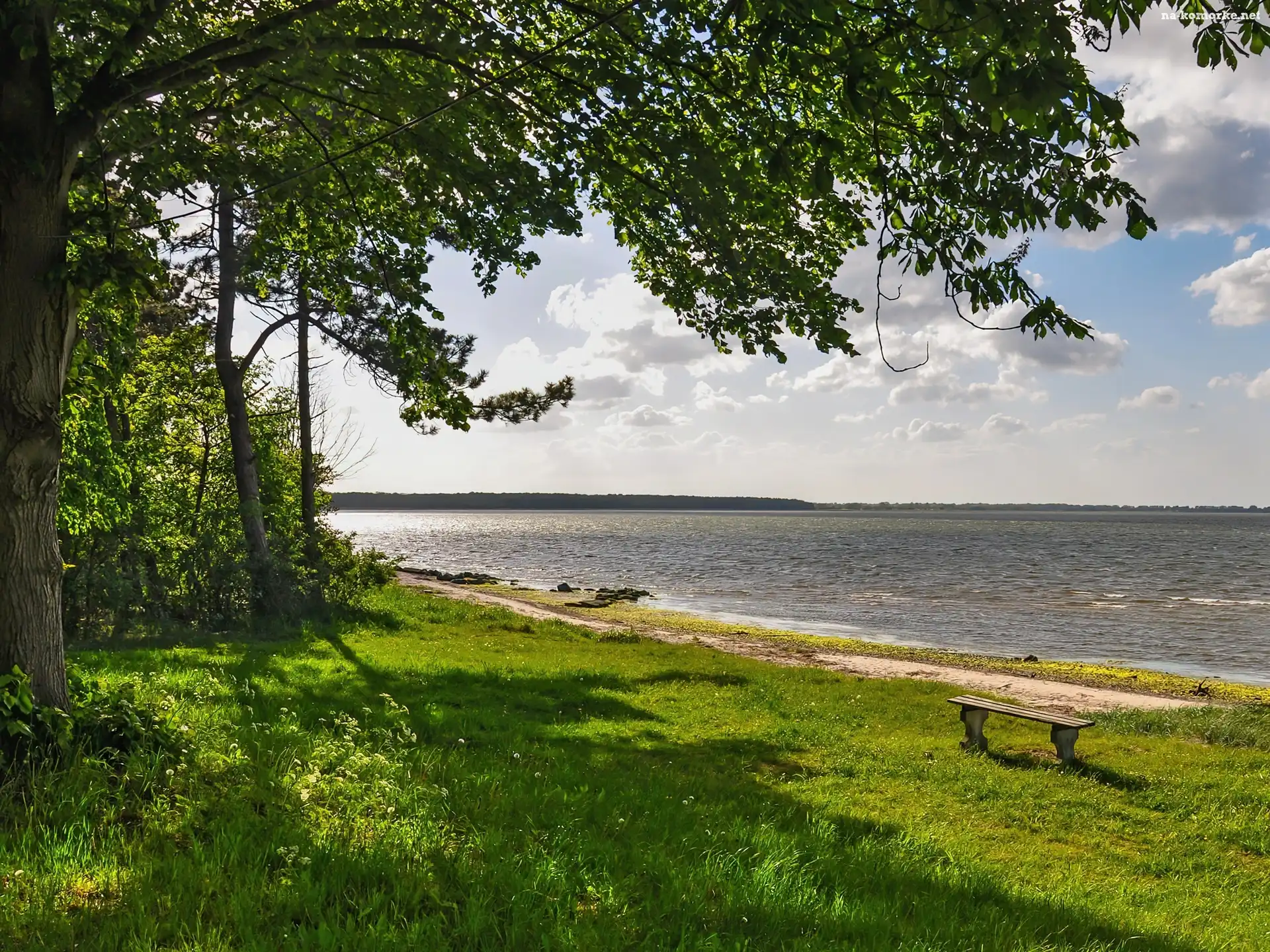 Jezioro, Zieleń, Ławka, Drzewo