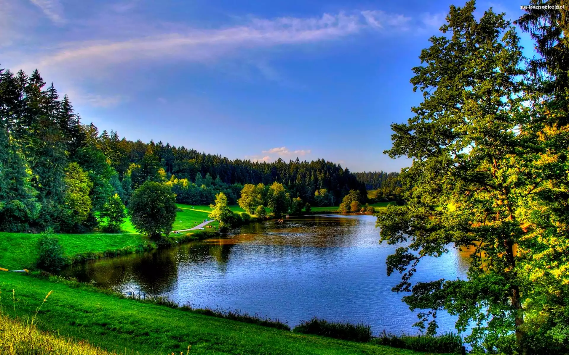 Jezioro, Drzewa