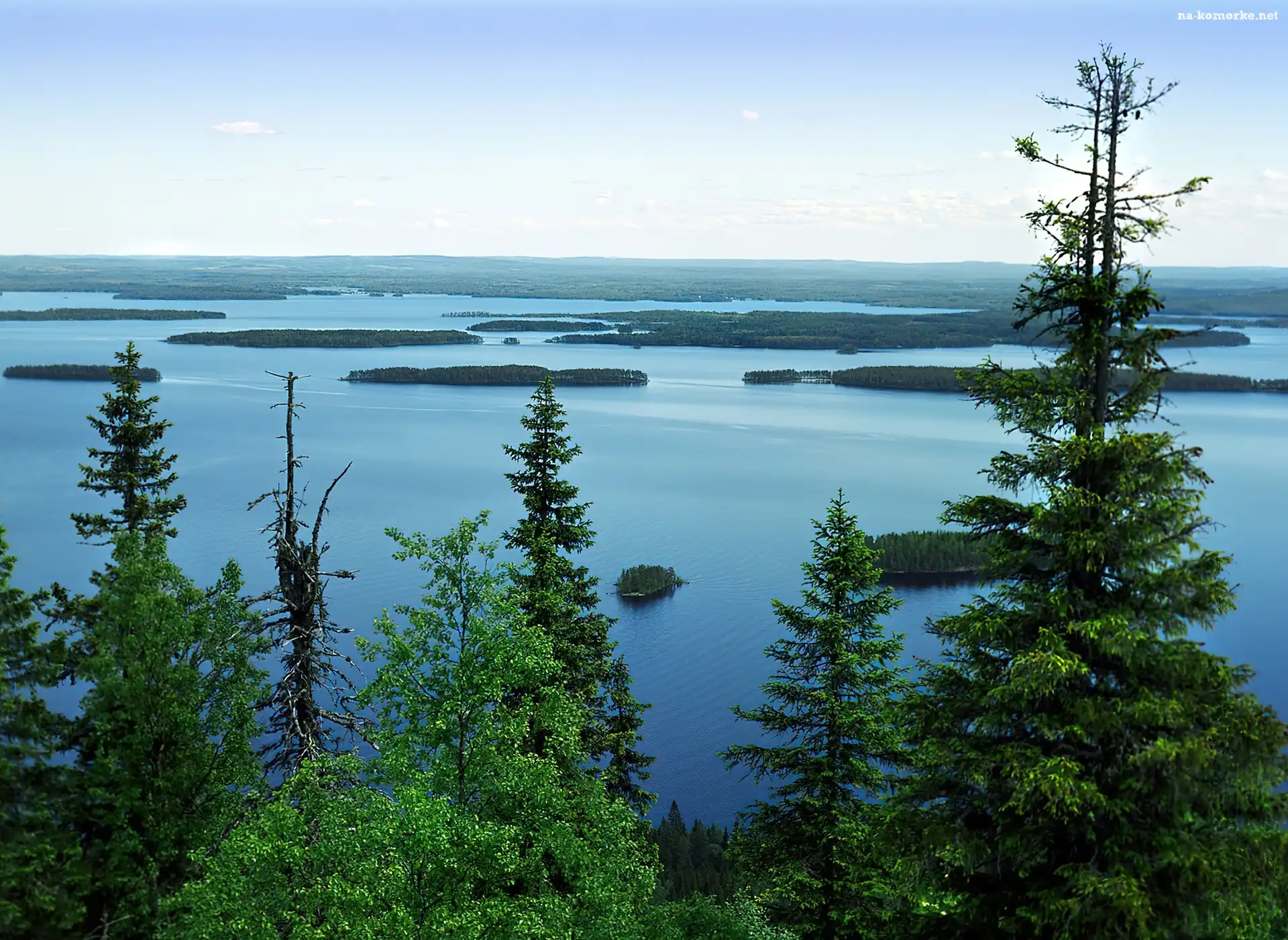 Jezioro, Finlandia, Drzewa, Koli