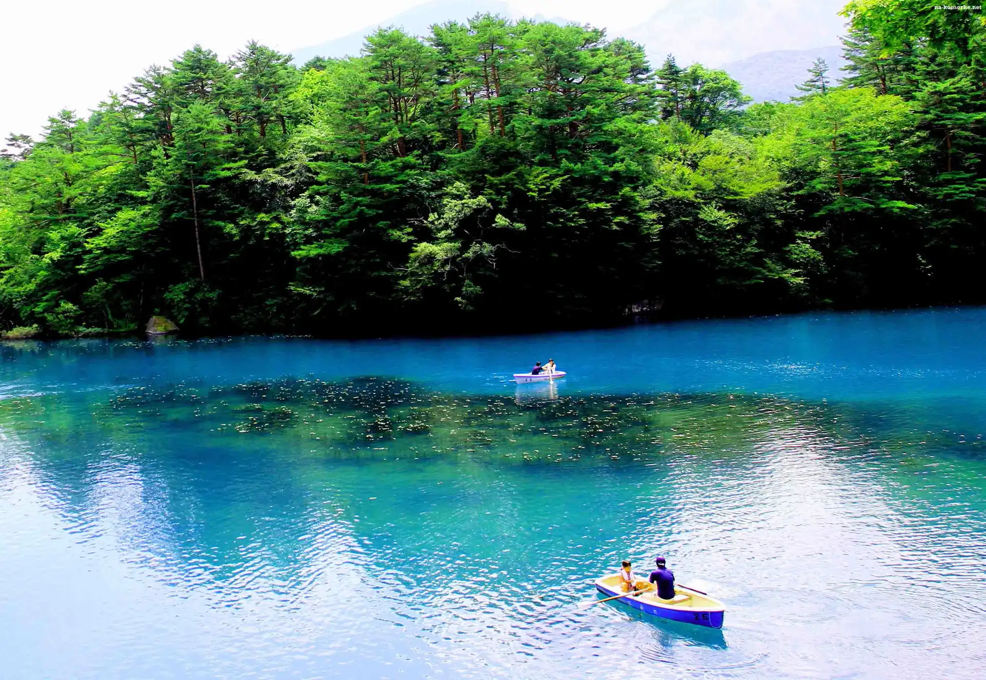 Jezioro, Japonia, Drzewa, Łódki