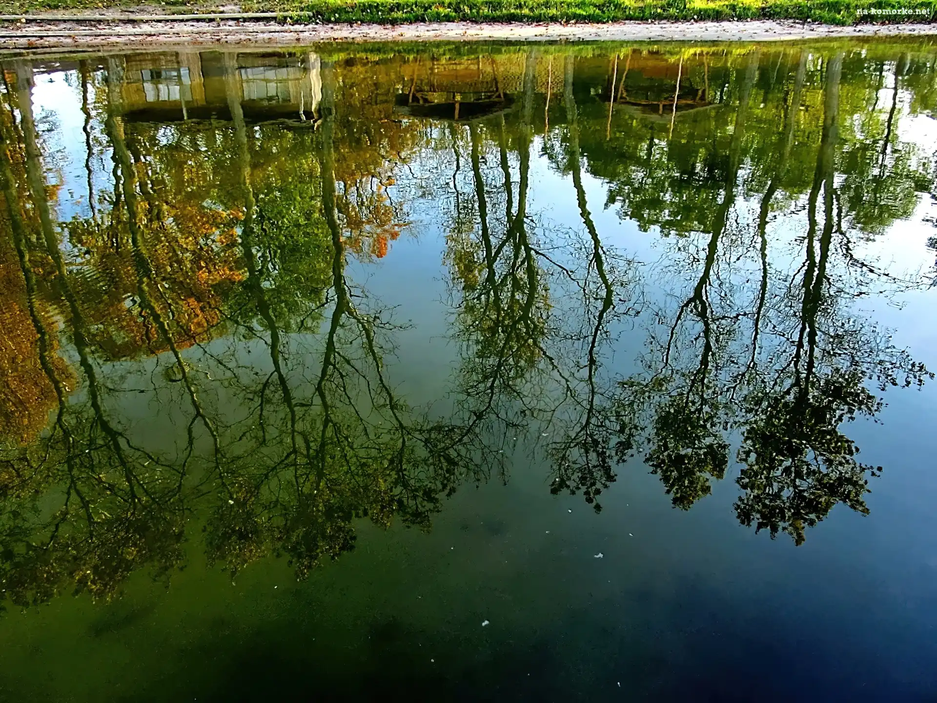 Jezioro, Odbicie, Drzewa, Jesień