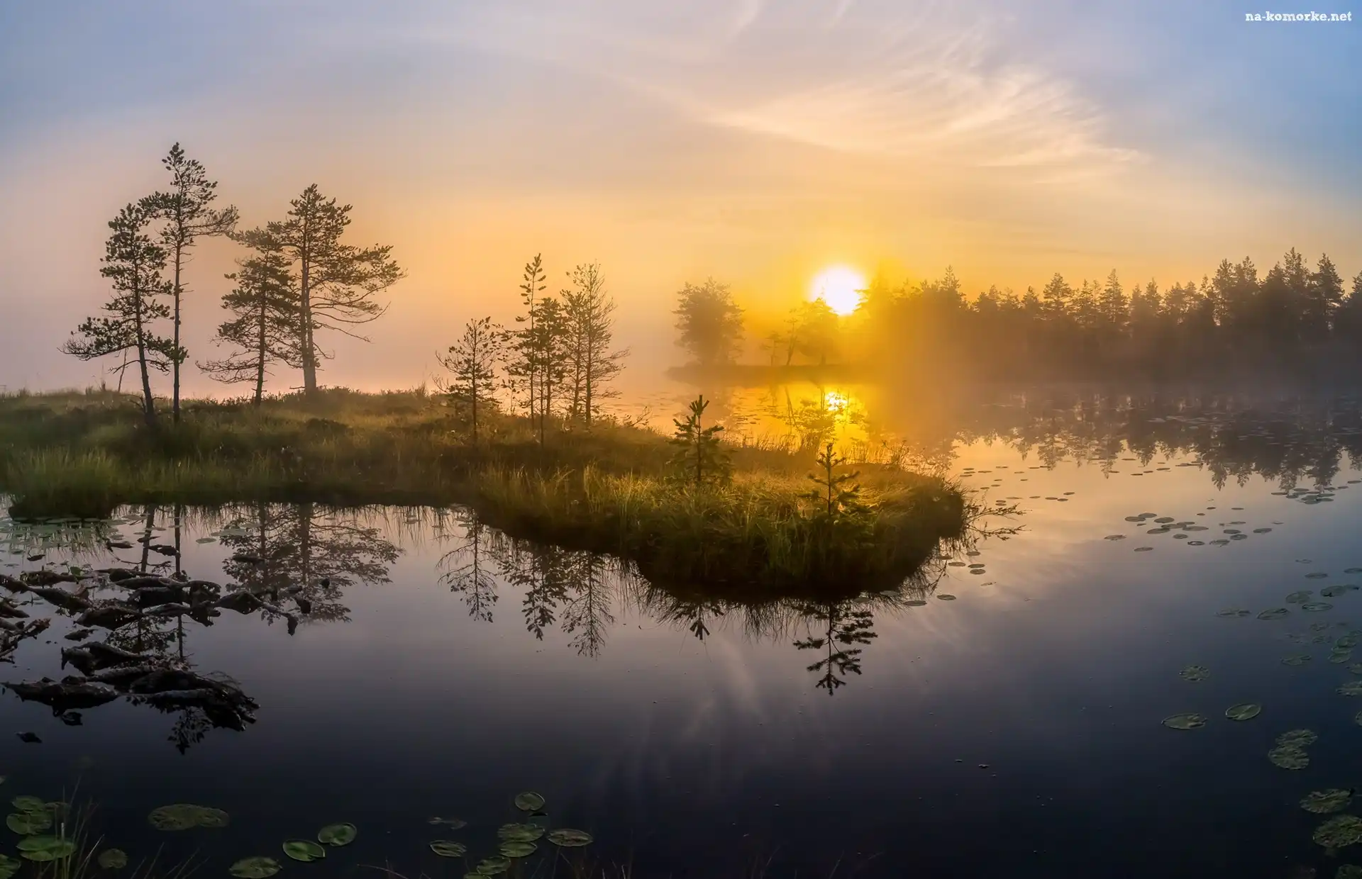 Jezioro, Wschód słońca, Drzewa, Mgła