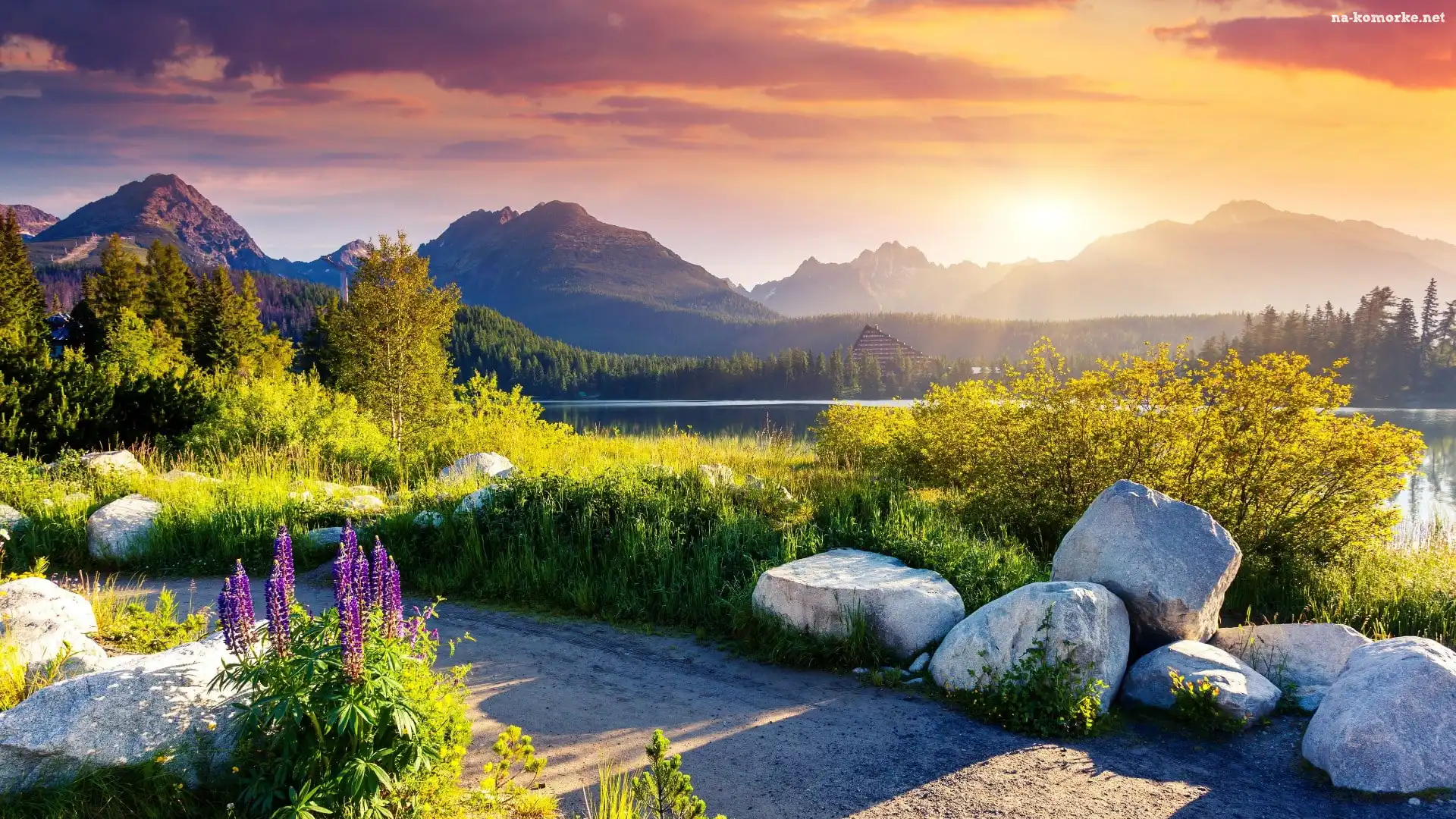 Zachód słońca, Niebo, Tatry Wysokie, Kwiaty, Szczyrbskie Jezioro, Tatrzański Park Narodowy, Drzewa, Kamienie, Góry, Słowacja