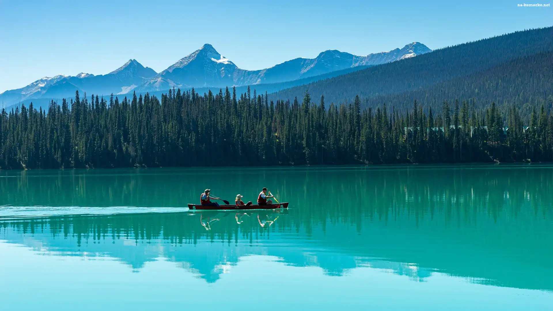 Jezioro, Kanada, Kajak, Emerald Lake, Góry, Kolumbia Brytyjska, Drzewa, Park Narodowy Yoho, Las
