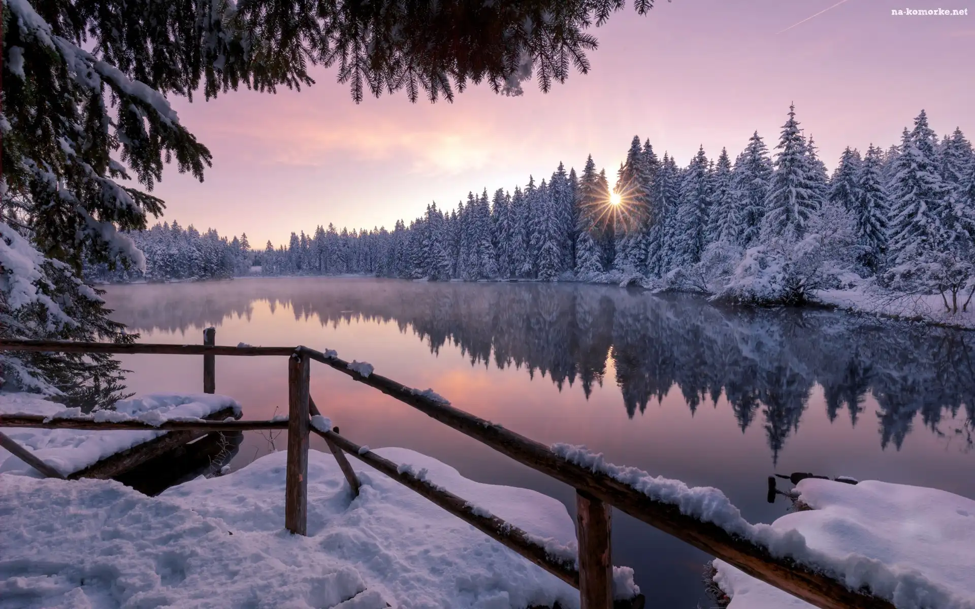 Jezioro, Zima, Ośnieżone, Etang de la Gruere, Szwajcaria, Śnieg, Kanton Jura, Las, Drzewa