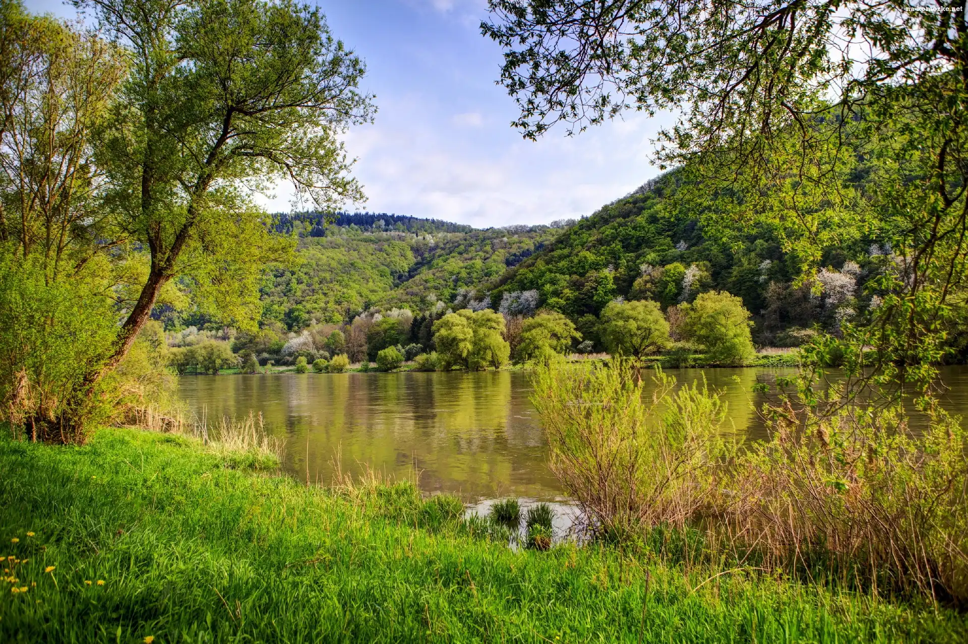 Góry, Jezioro, Drzewa