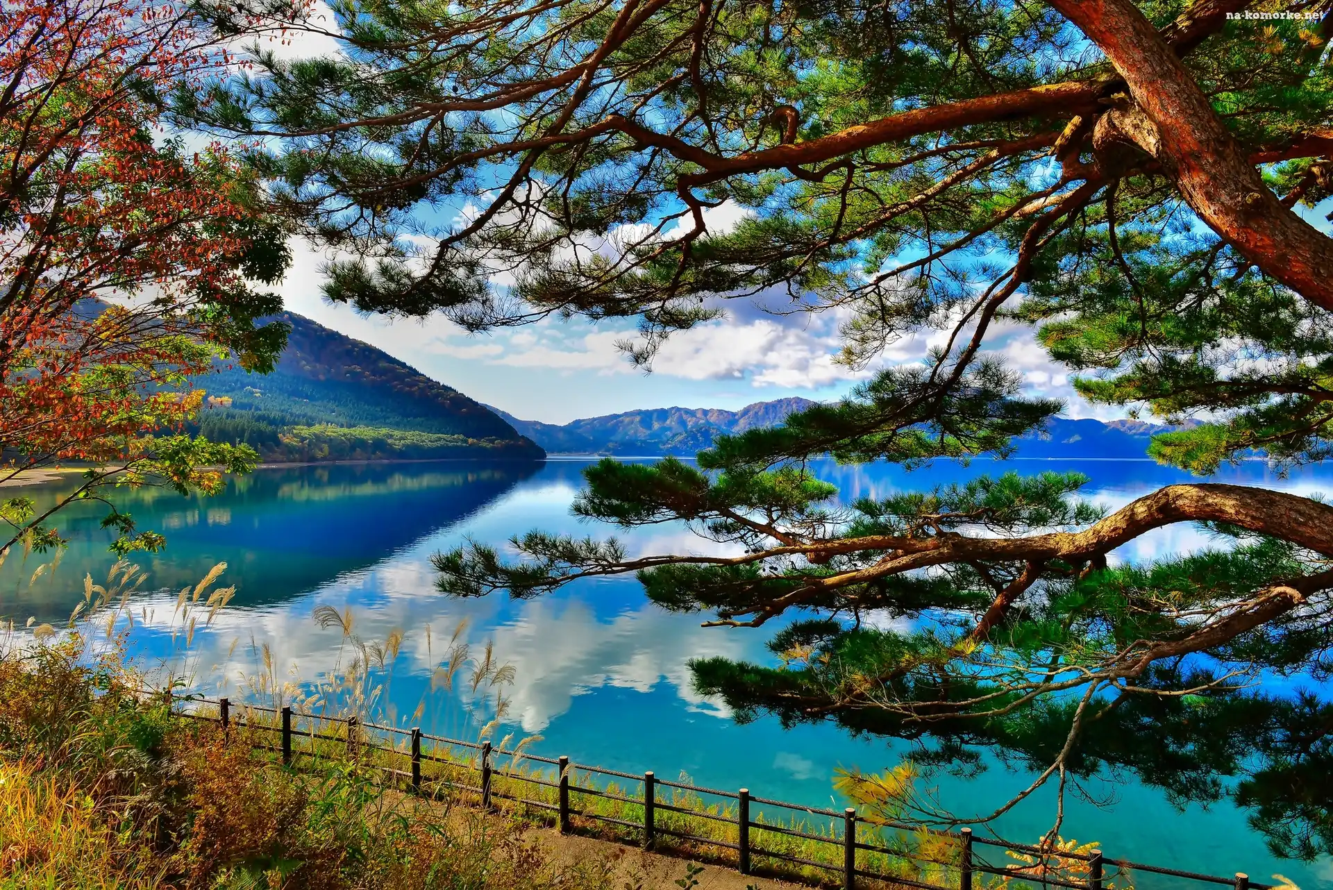 Góry, Jezioro, Drzewa