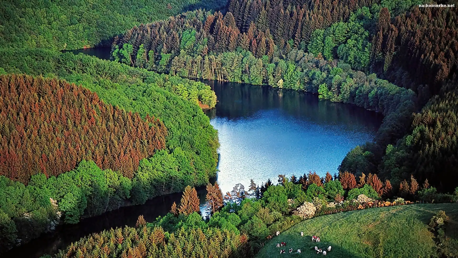 Góry, Jezioro, Lasy