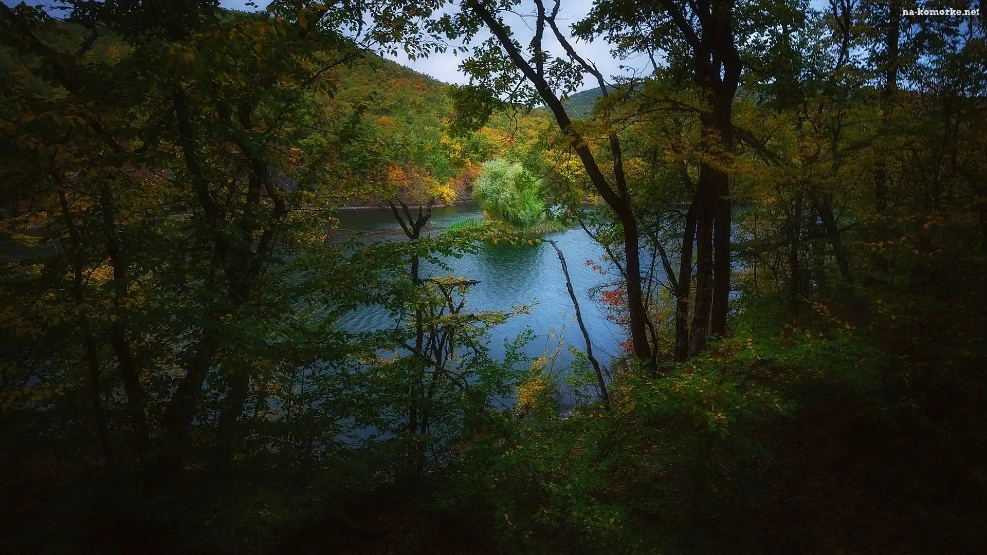 Jezioro, Wysepka, Góry, Drzewa