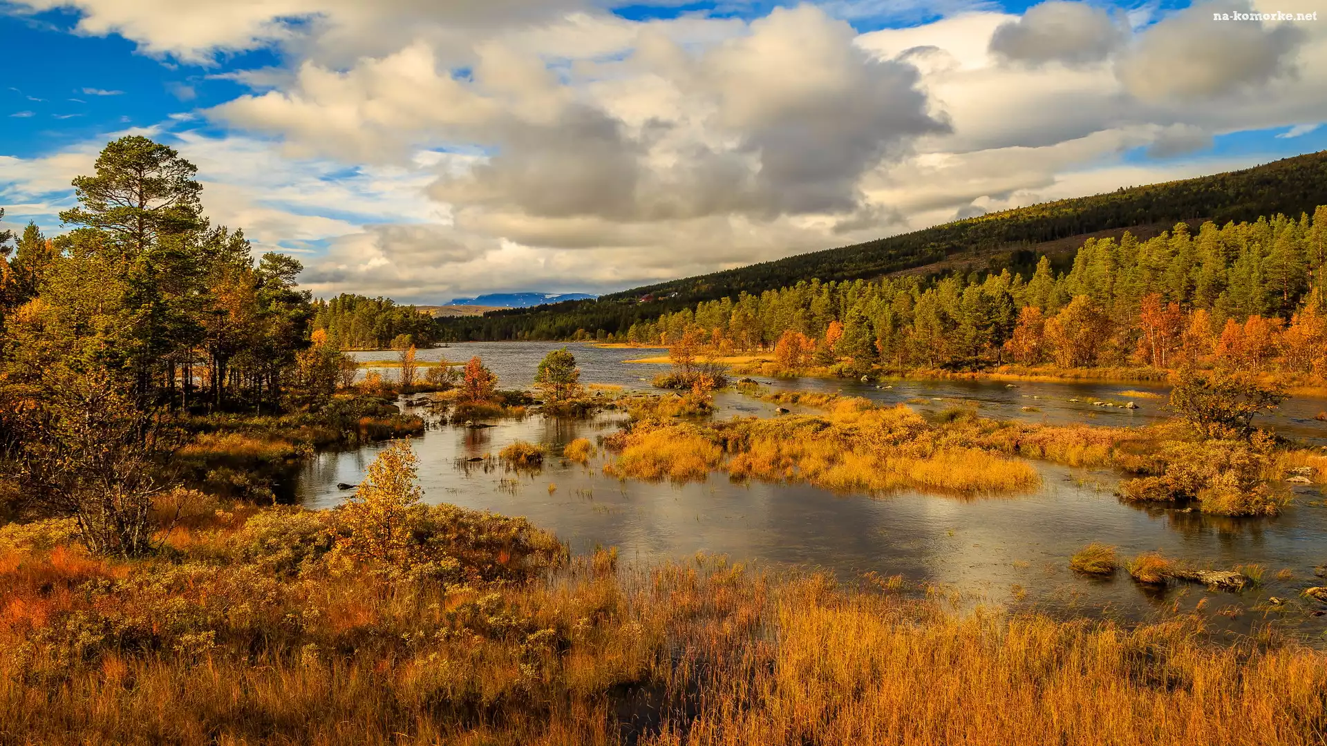 Lasy, Jezioro, Jesień, Norwegia, Drzewa, Park Narodowy Hardangervidda