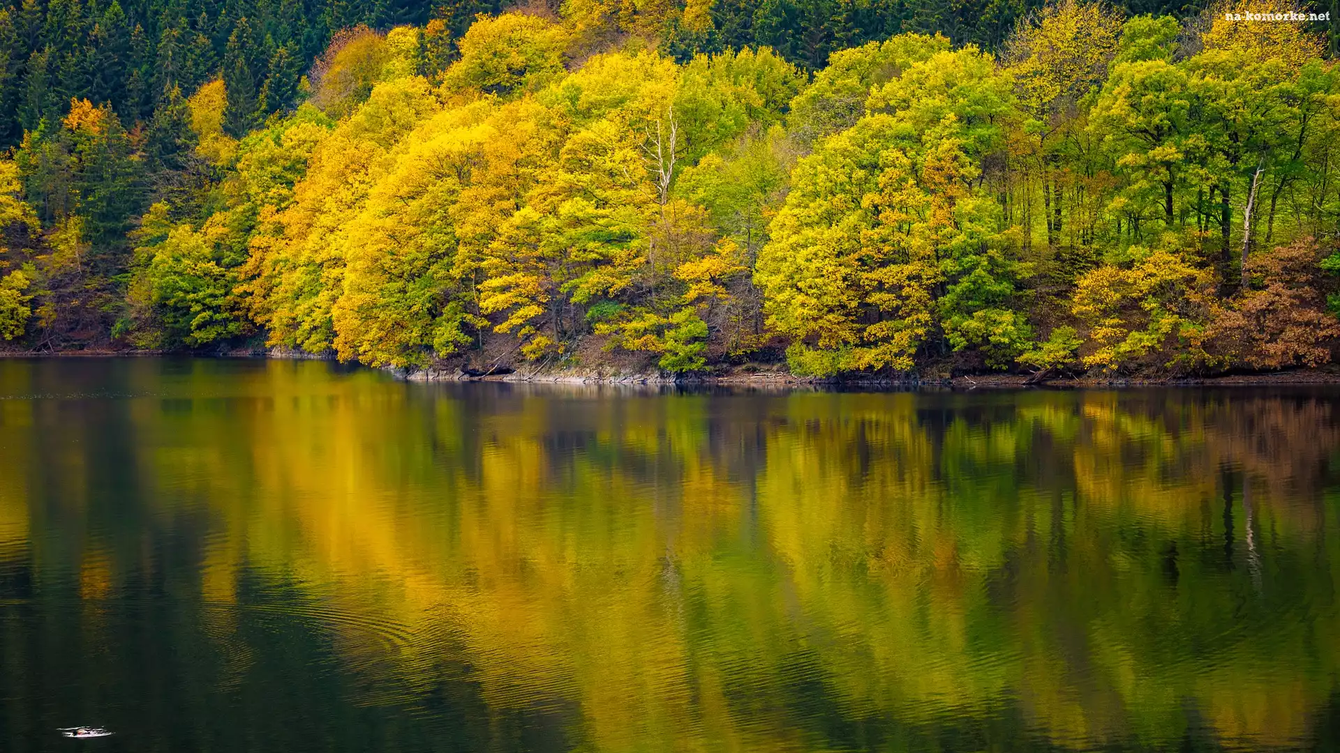 Jezioro, Odbicie, Jesień, Drzewa