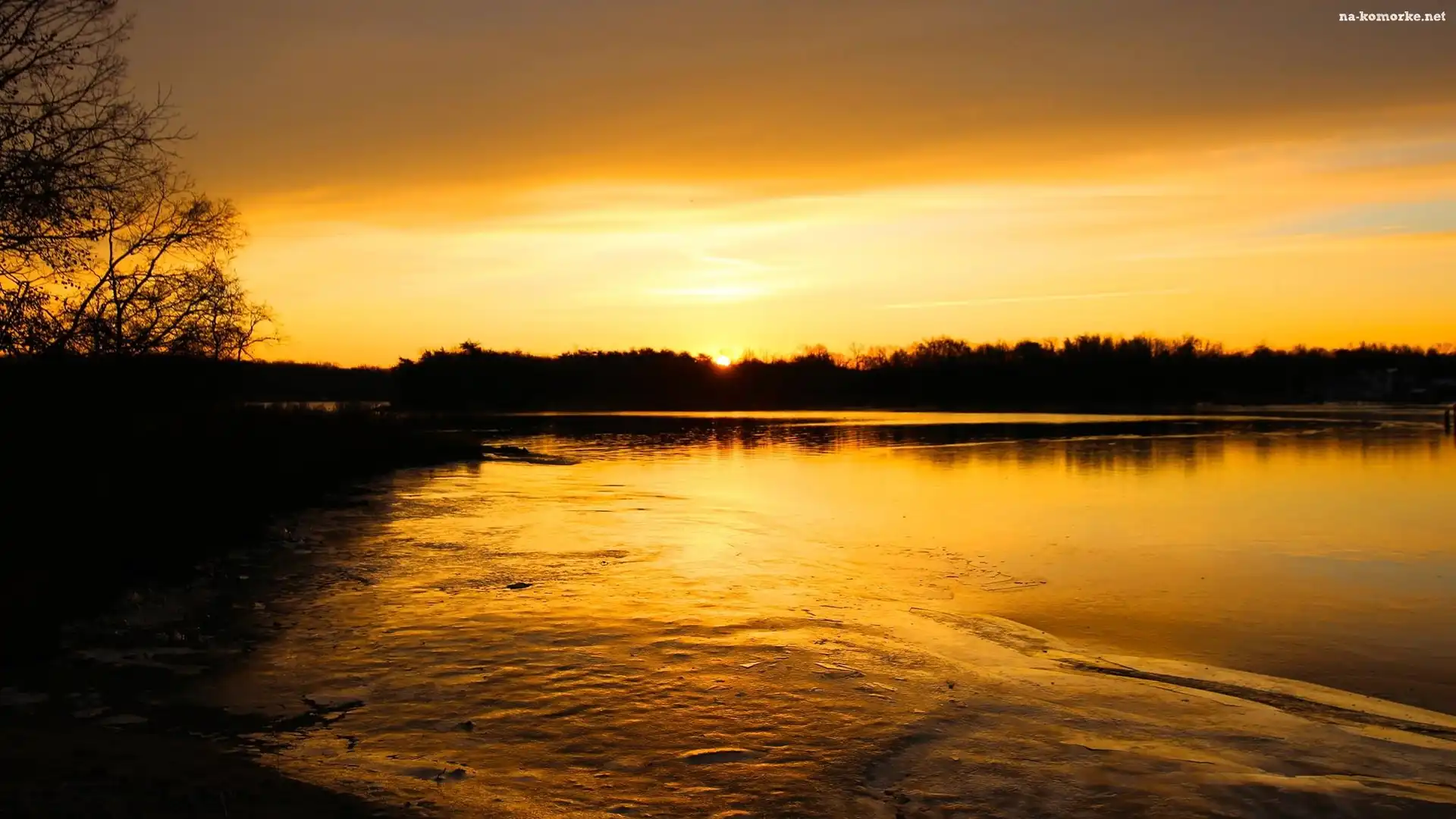 Jezioro, Las