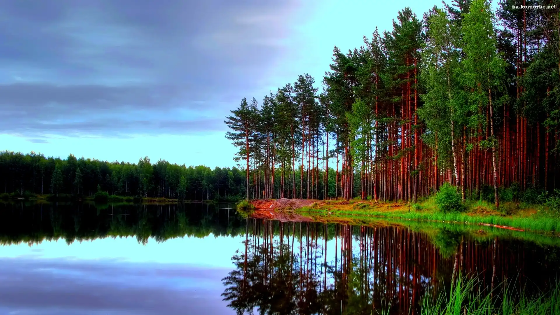 Las, Jezioro, Odbicie