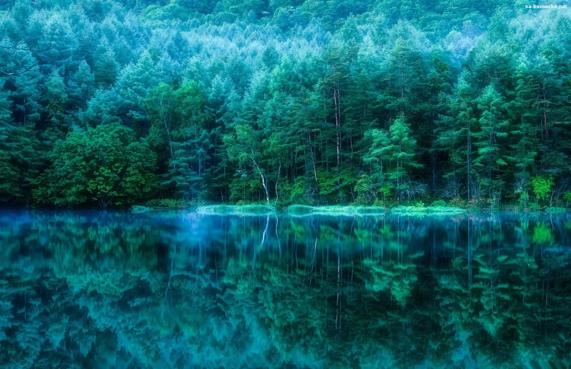 Las, Jezioro, Odbicie
