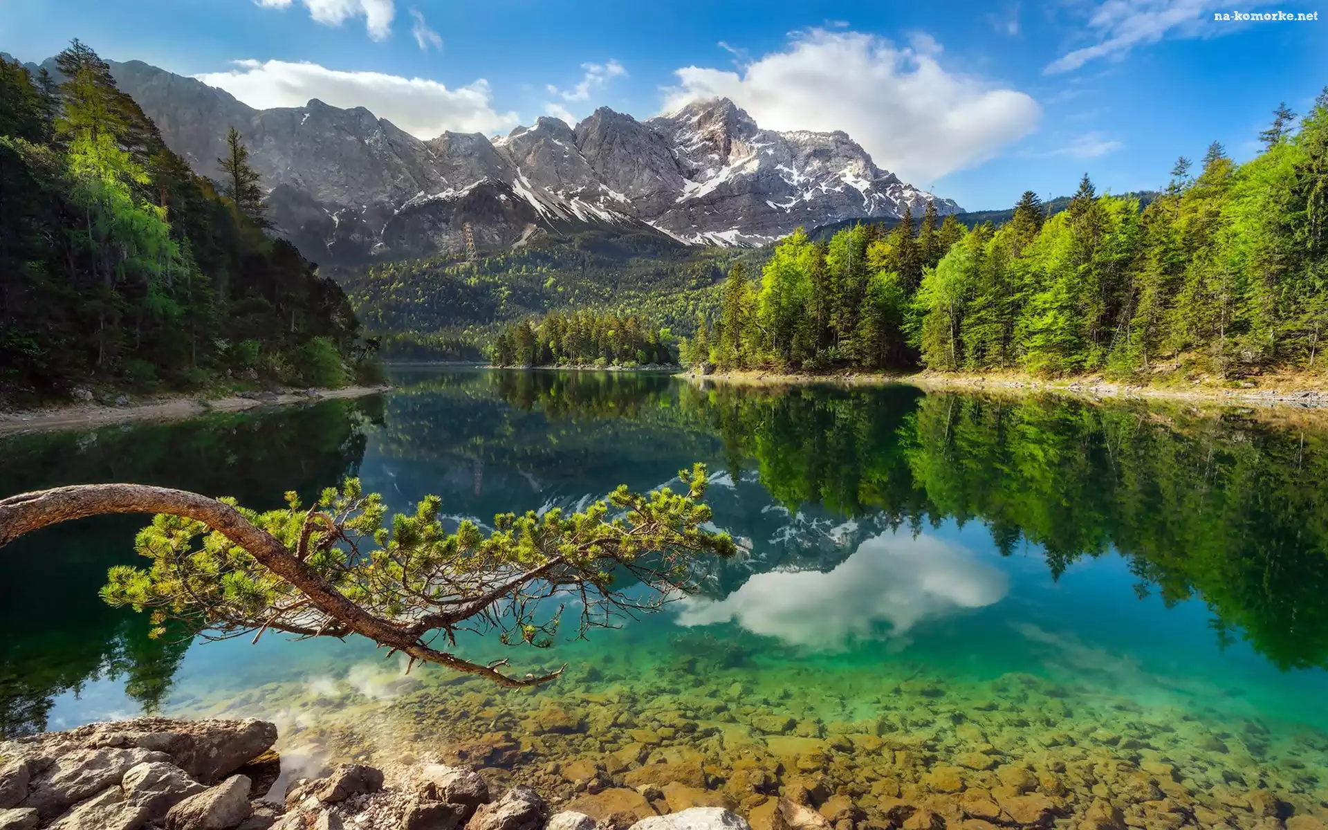 Niemcy, Drzewa, Jezioro Eibsee, Lasy, Bawaria, Góry, Alpy Bawarskie, Szczyt Zugspitze