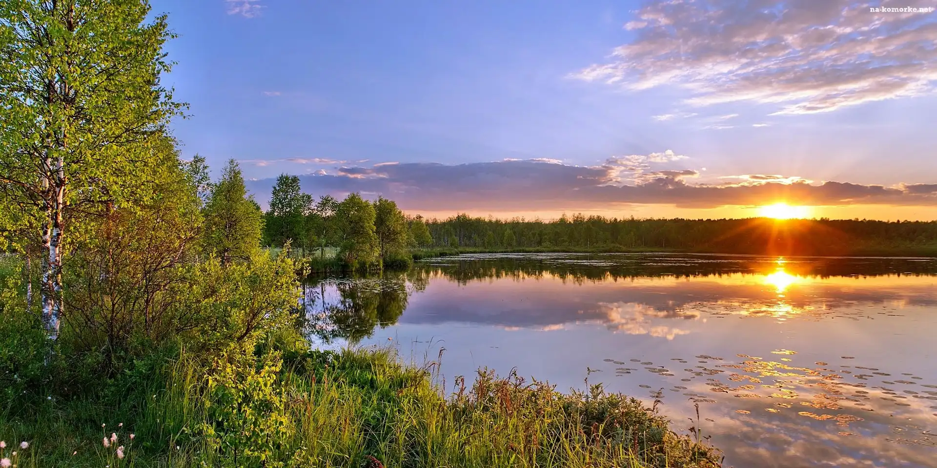 Jezioro, Słońca, Lasy, Zachód