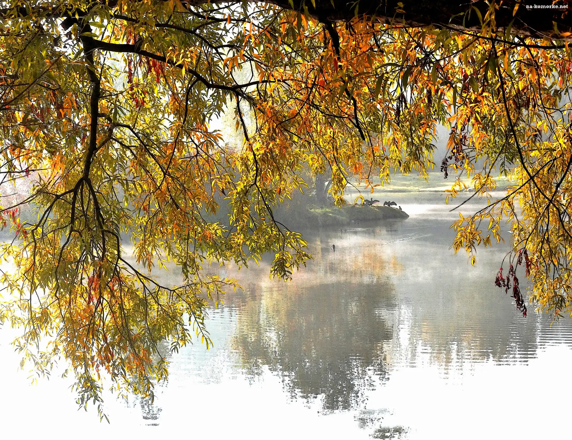 Jezioro, Liście