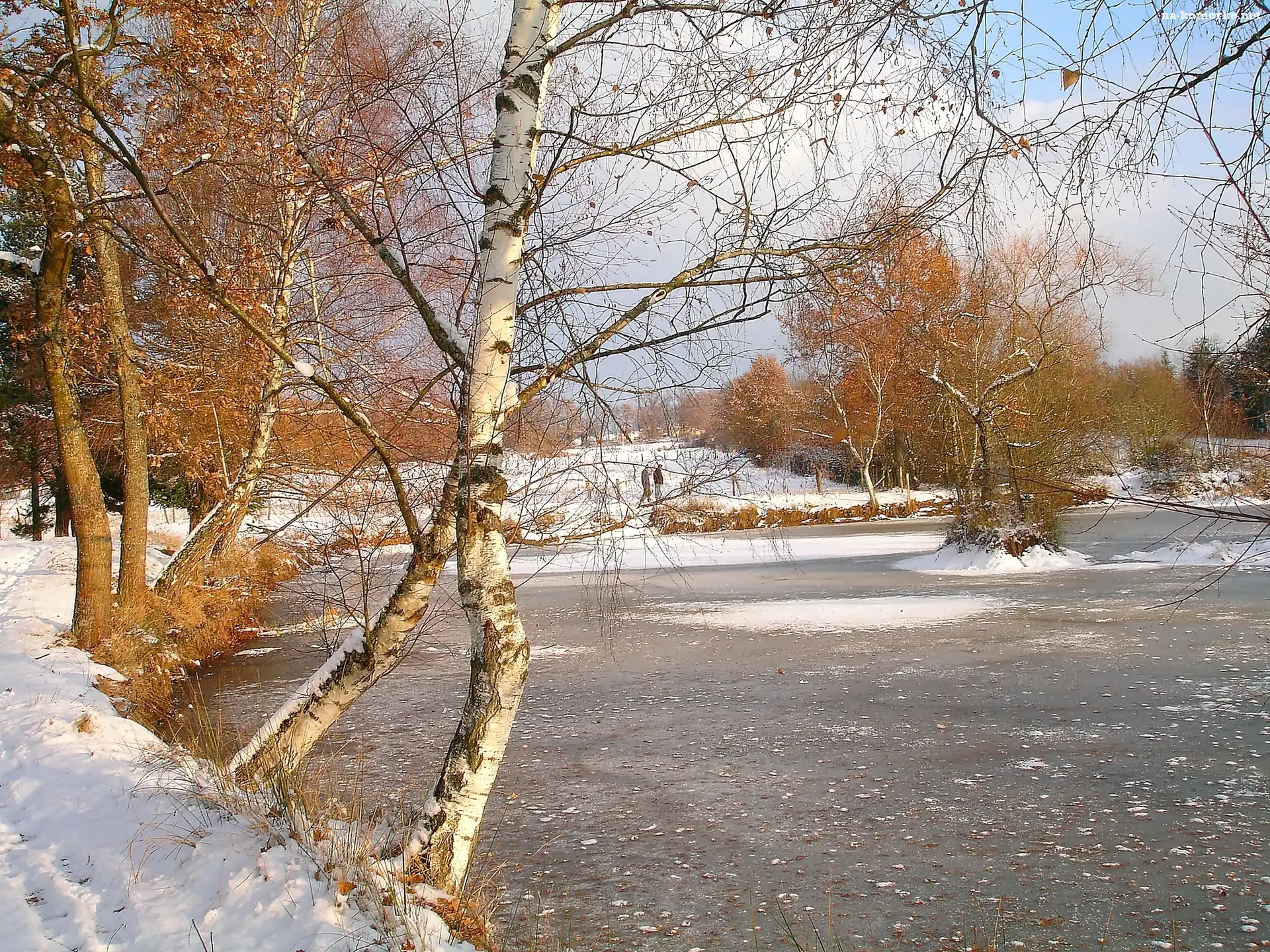 Jezioro, Zima, Zachód, Słońca, Park