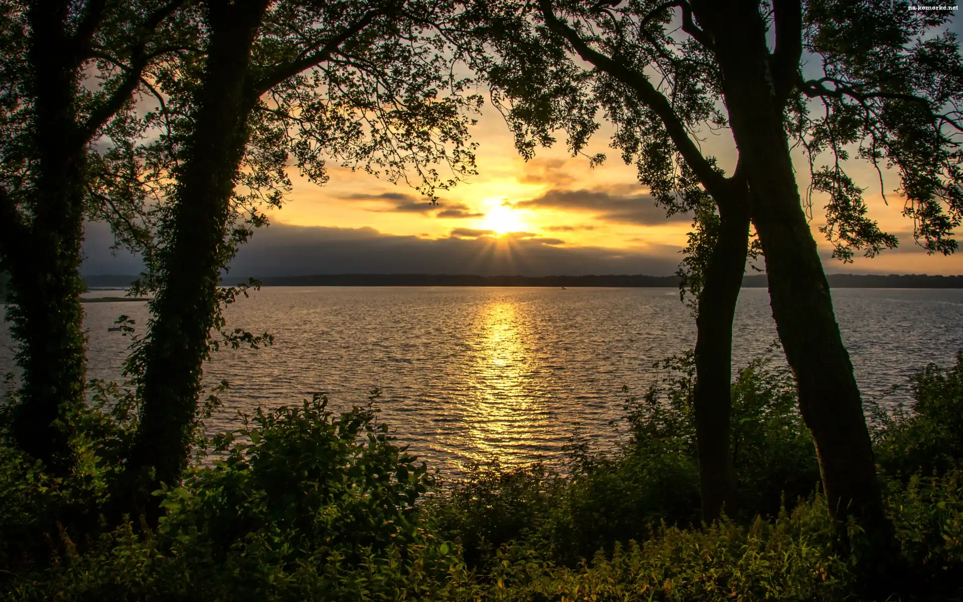 Jezioro, Drzewa, Zachód Słońca