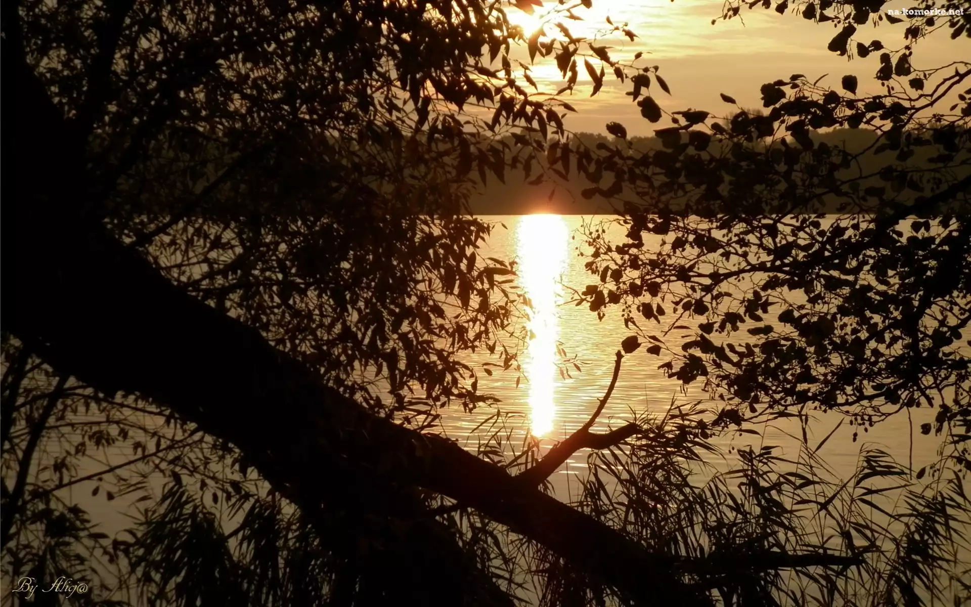 Jezioro, Gałęzie, Zachód, Słońca
